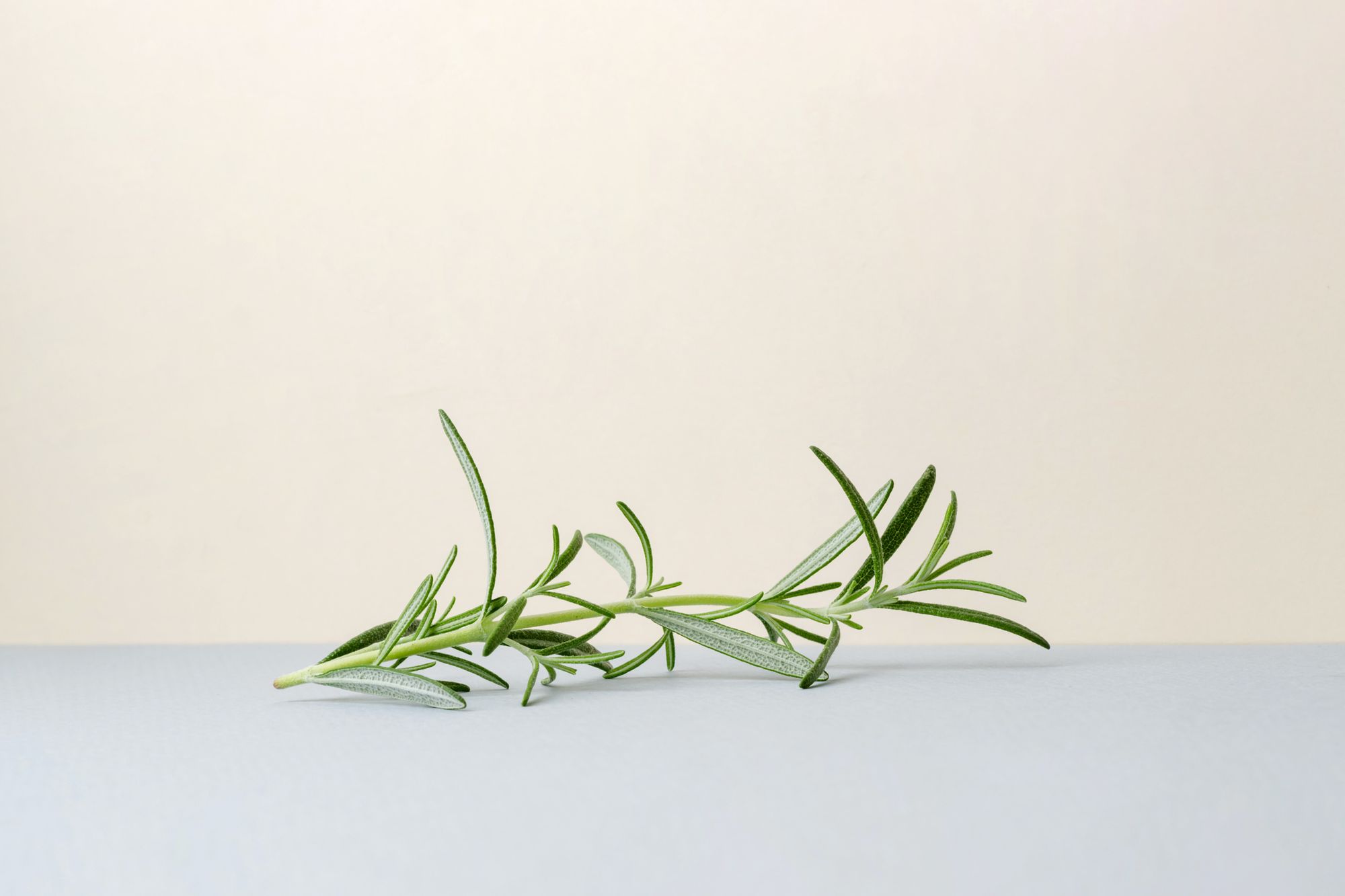 Rosemary scent improves memory