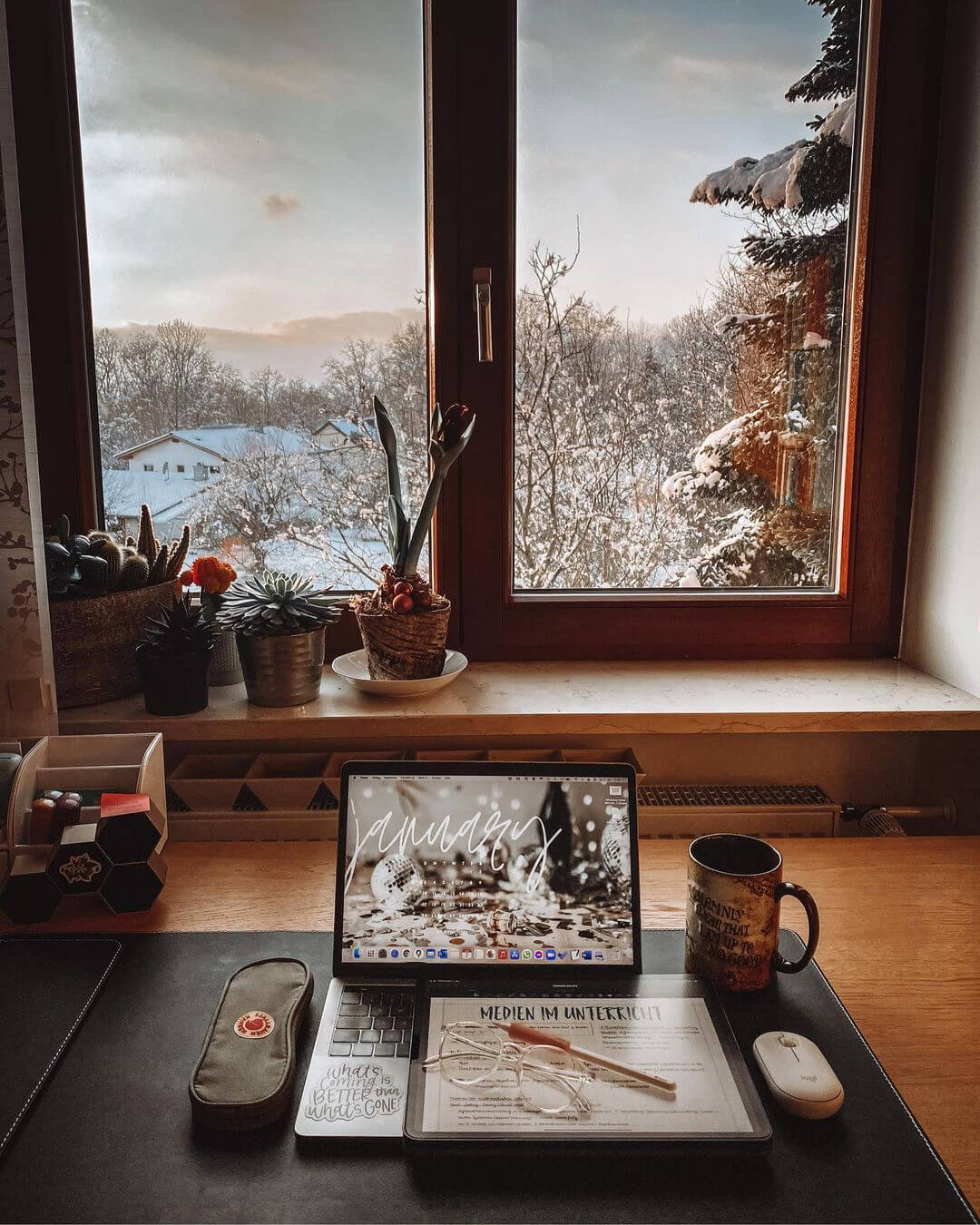 A window in Lisa's study room with an amazing view of the nearby forest