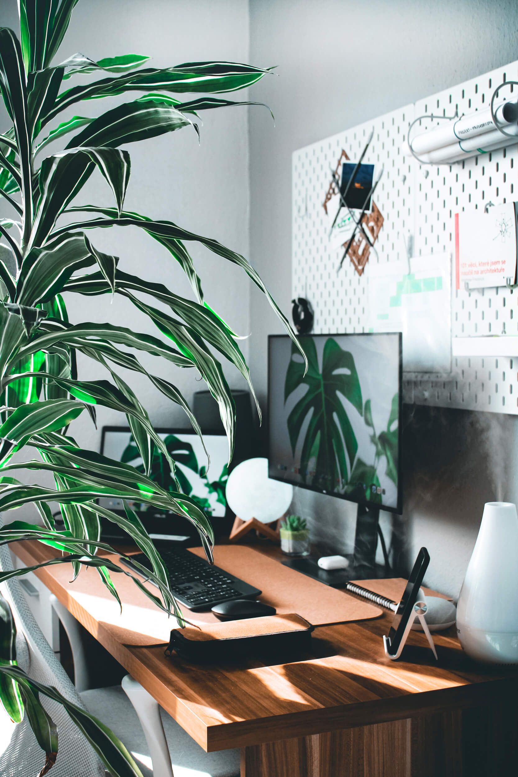 Wooden table with plants