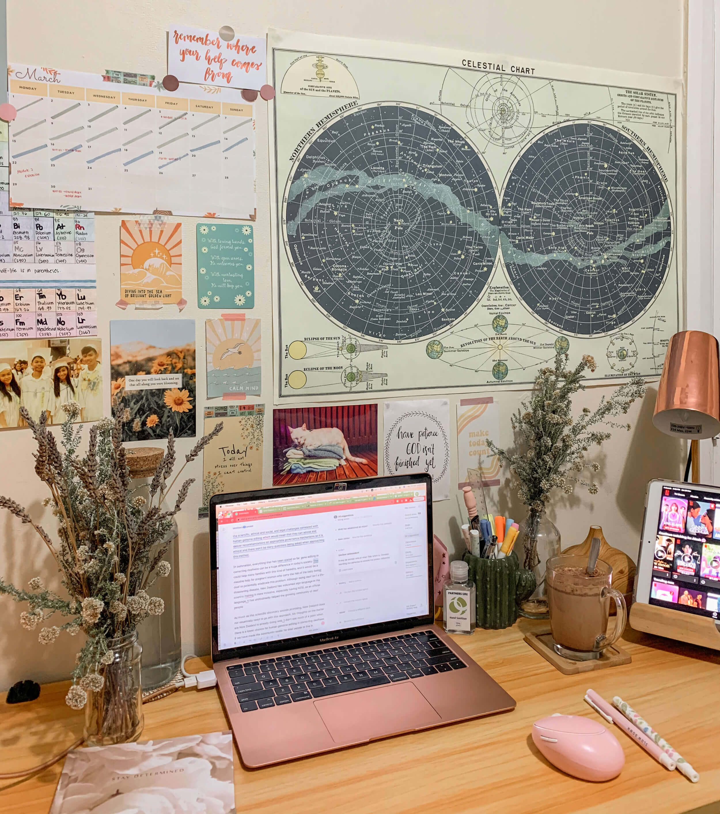 Pinky study setup in New Zealand