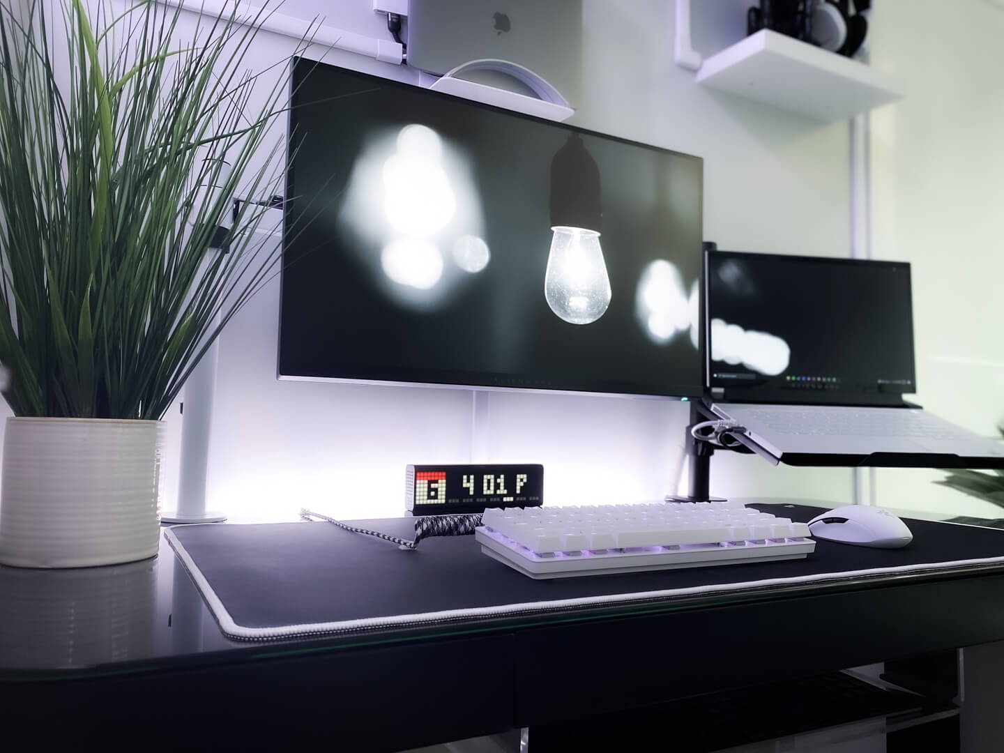 Minimalist WFH desk setup with off-white walls and some plants