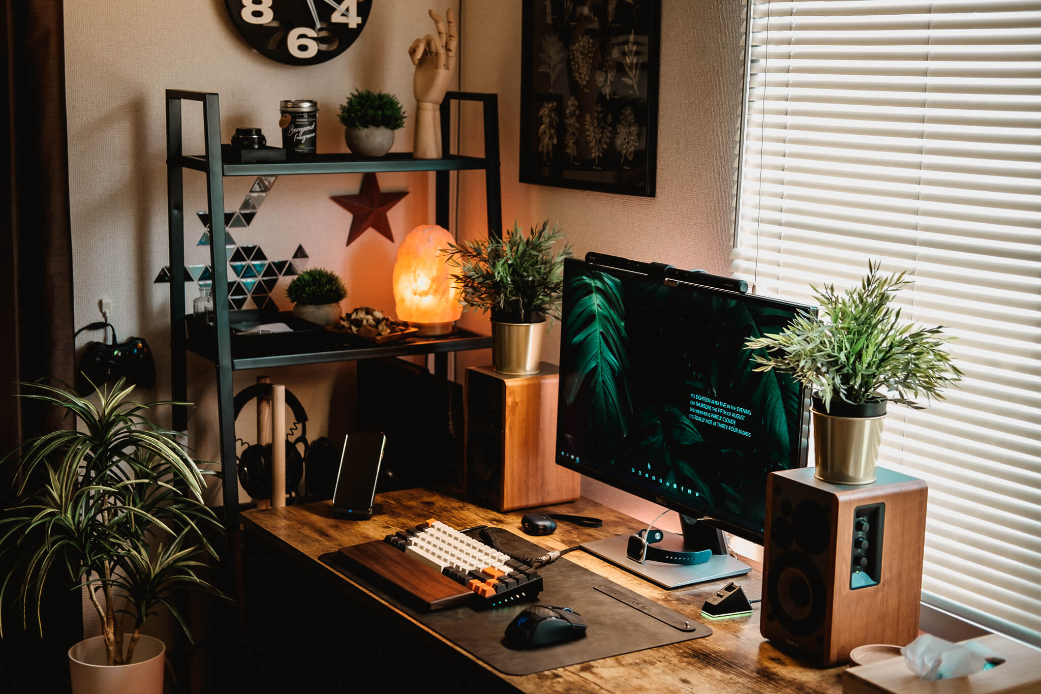 Home office with plants and Himalayan salt lamp in Japan