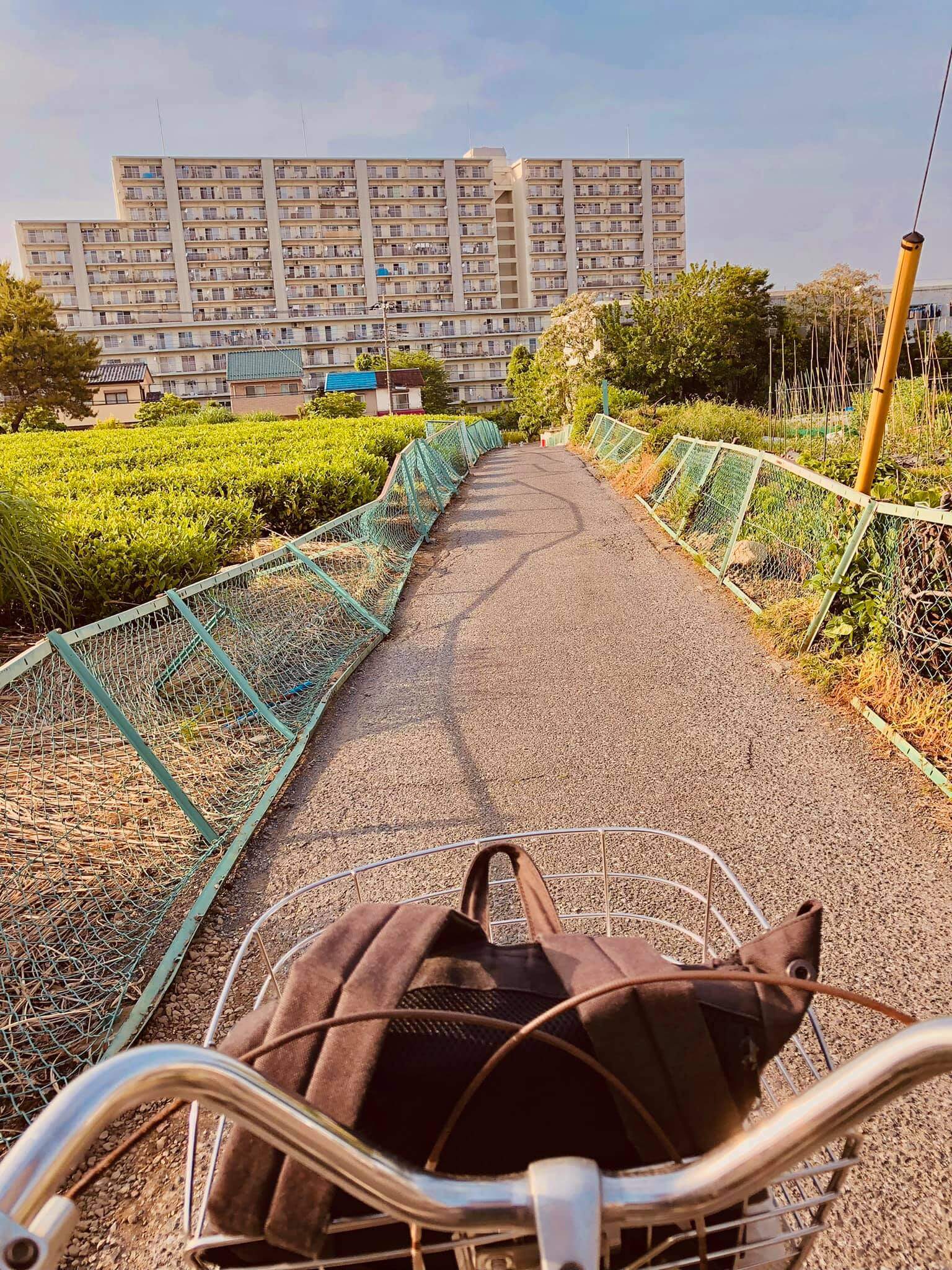 Roland‘s cycling route goes along a typical danchi — the public state housing by the government that people who need support can rent for cheap