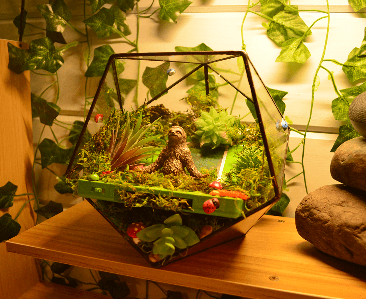 Plants terrarium in an old Nintendo DS Lite