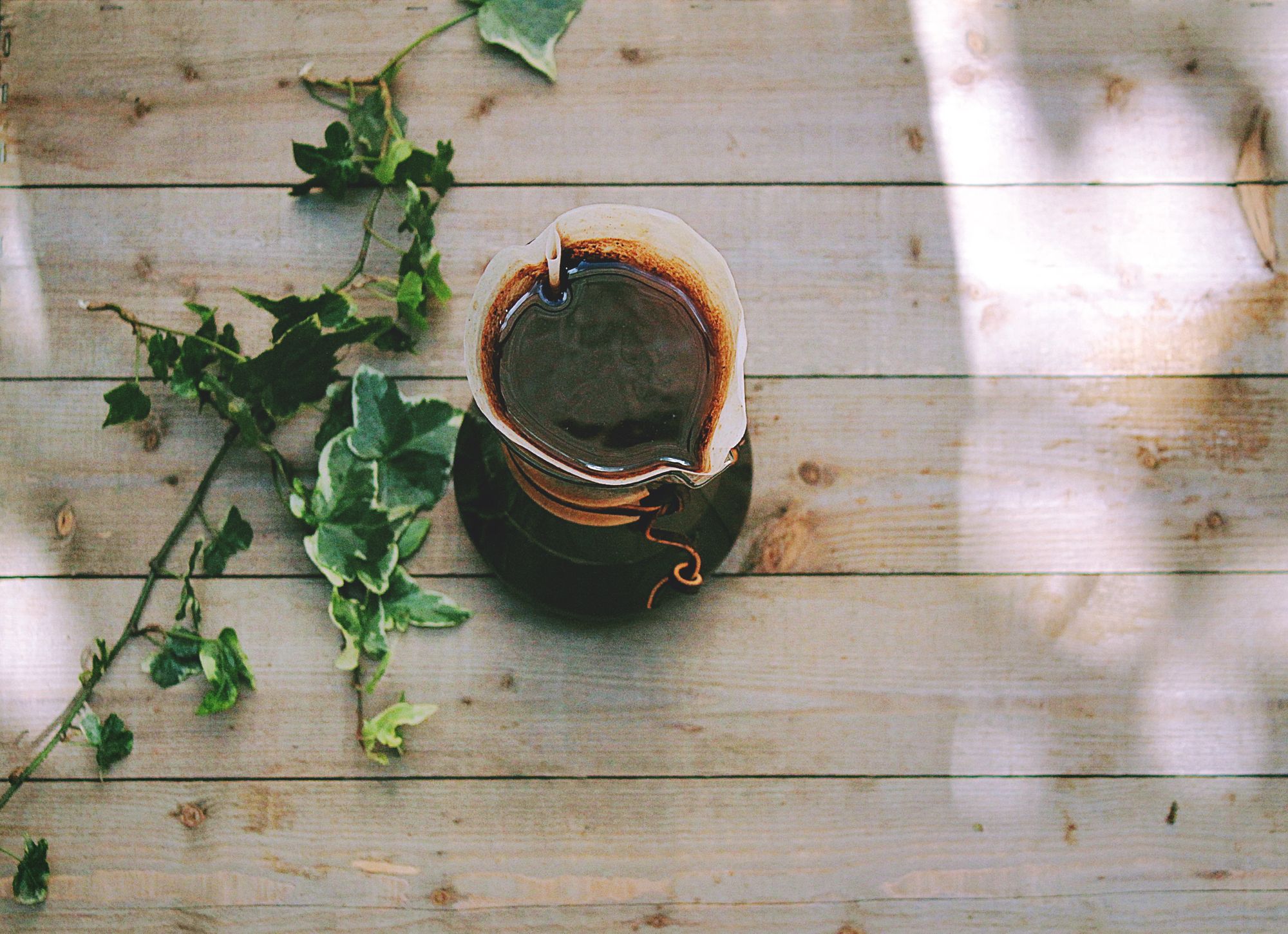 Ivy plant and coffee on the table