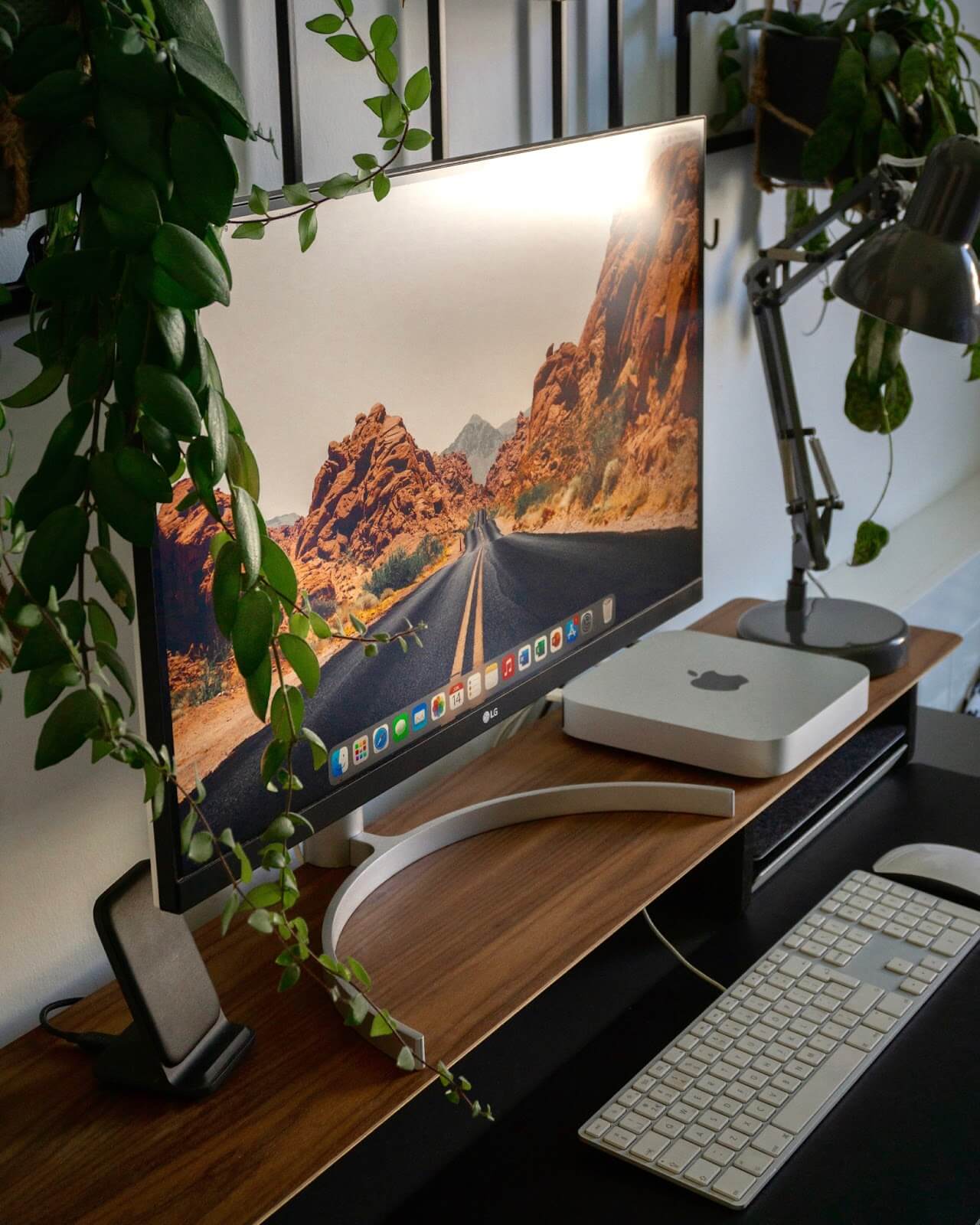 Small bedroom WFH setup featuring a Mac Mini and lots of plants