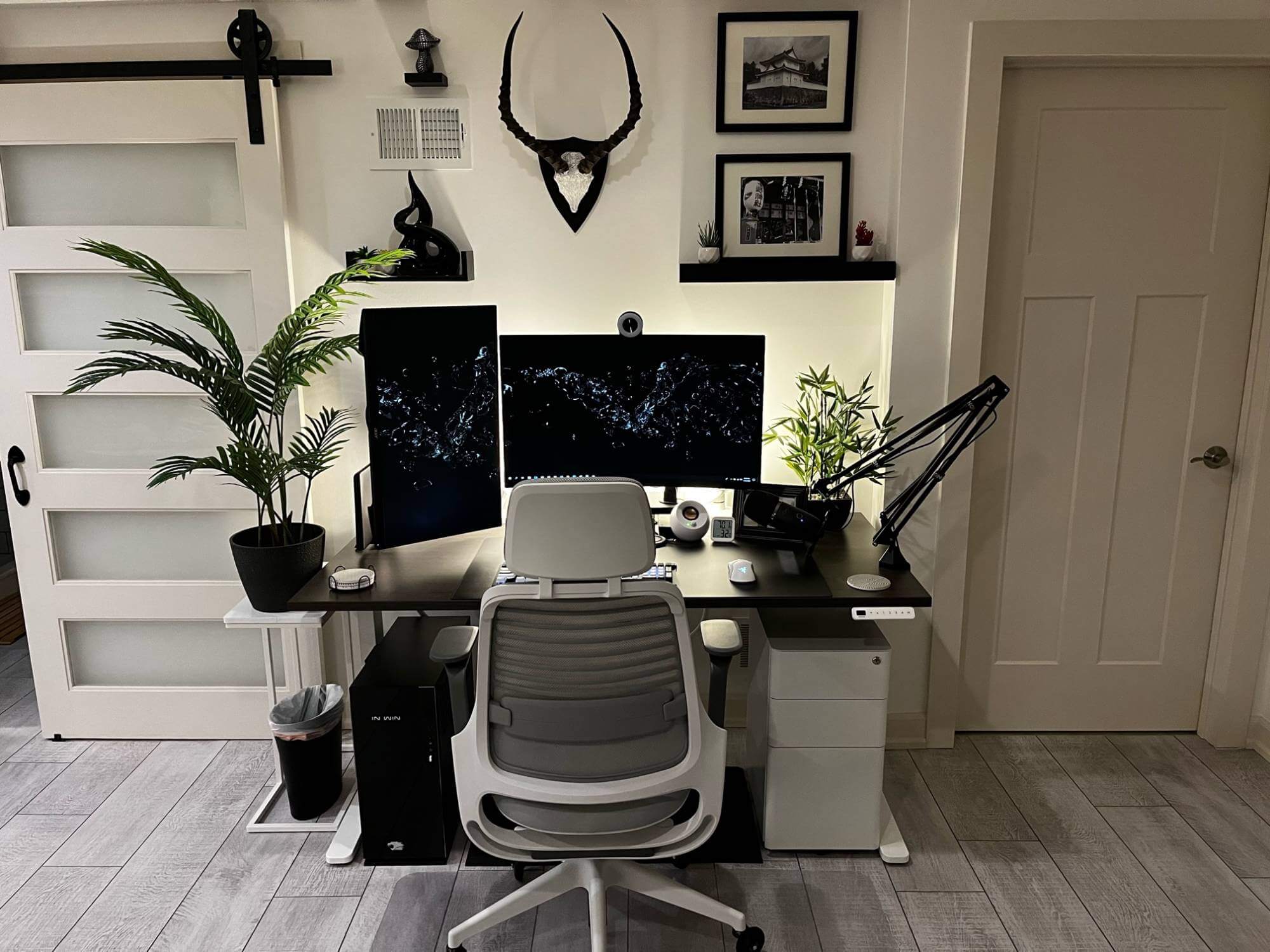 Monochrome workspace featuring the African antelope antlers