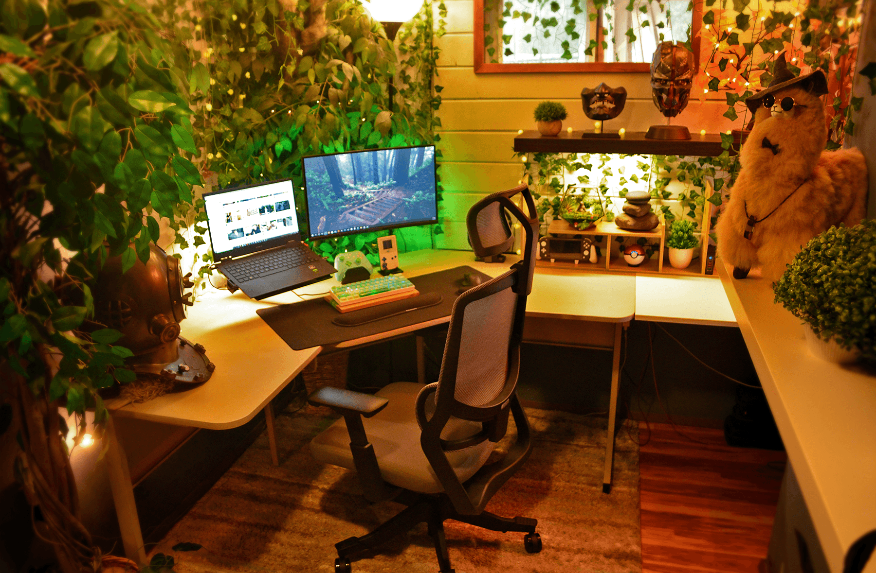 Detrik’s Peaceful Urban Jungle Setup in Washington, US