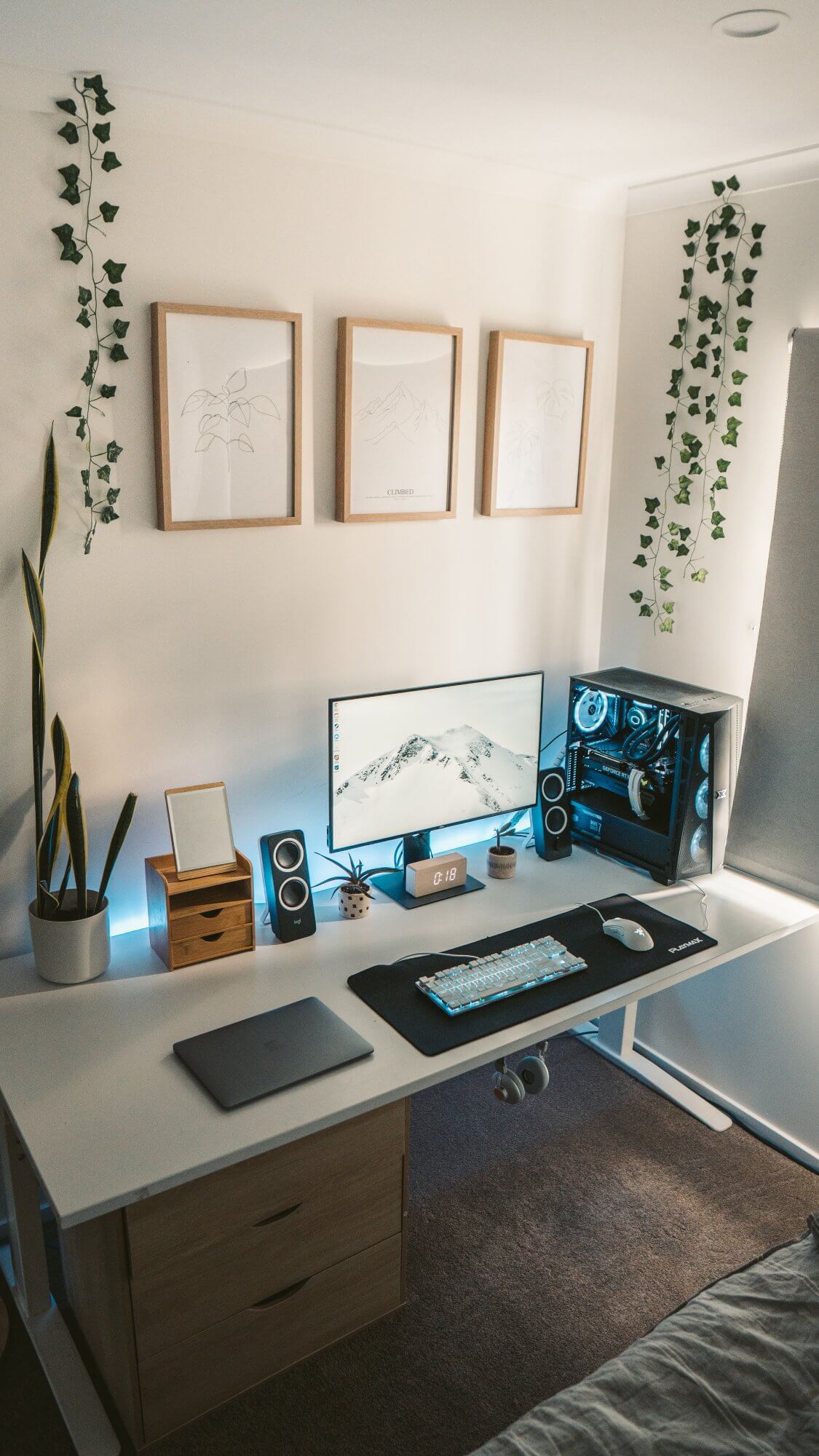 Jar loves being close to nature so she greened up her workspace, too