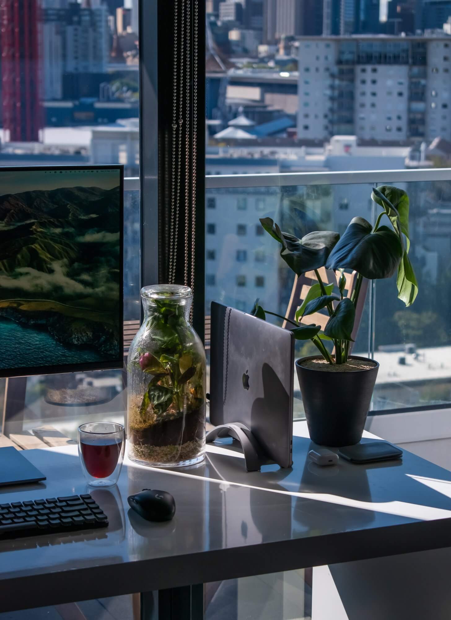 A desk terrarium