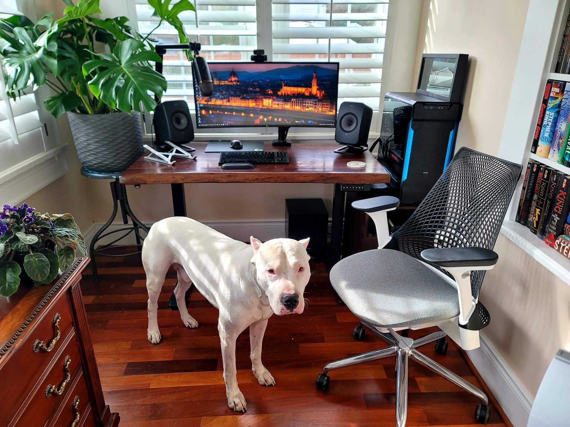 A dog and a custom-built standing desk in a home office