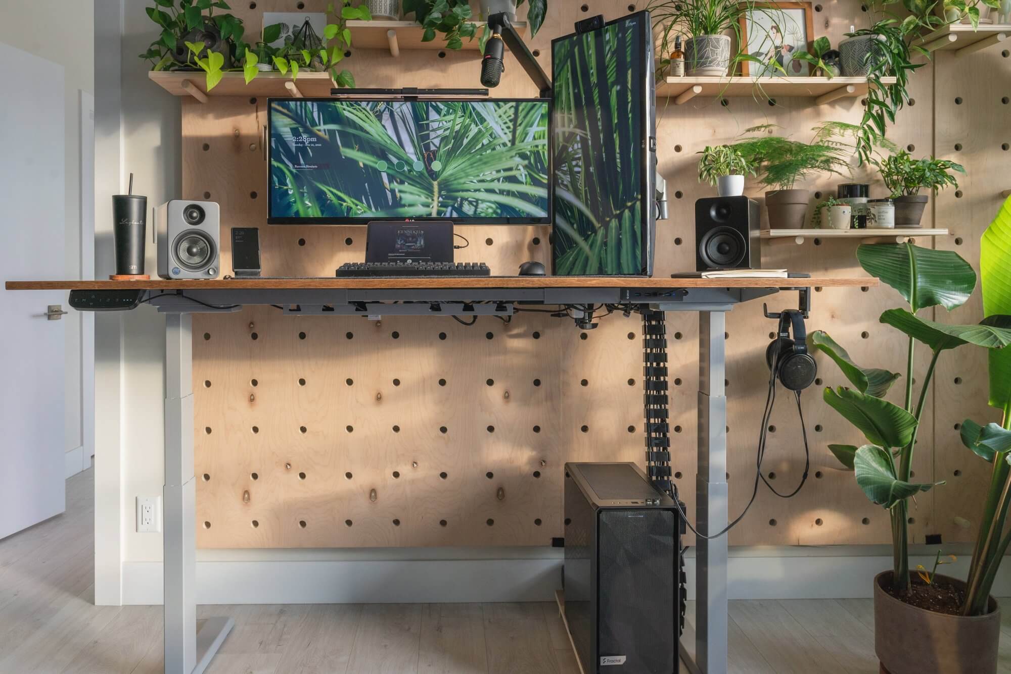 A standing desk and some home office plants