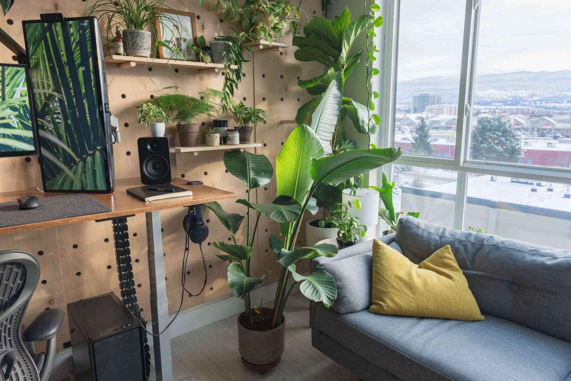 A living room full of plants