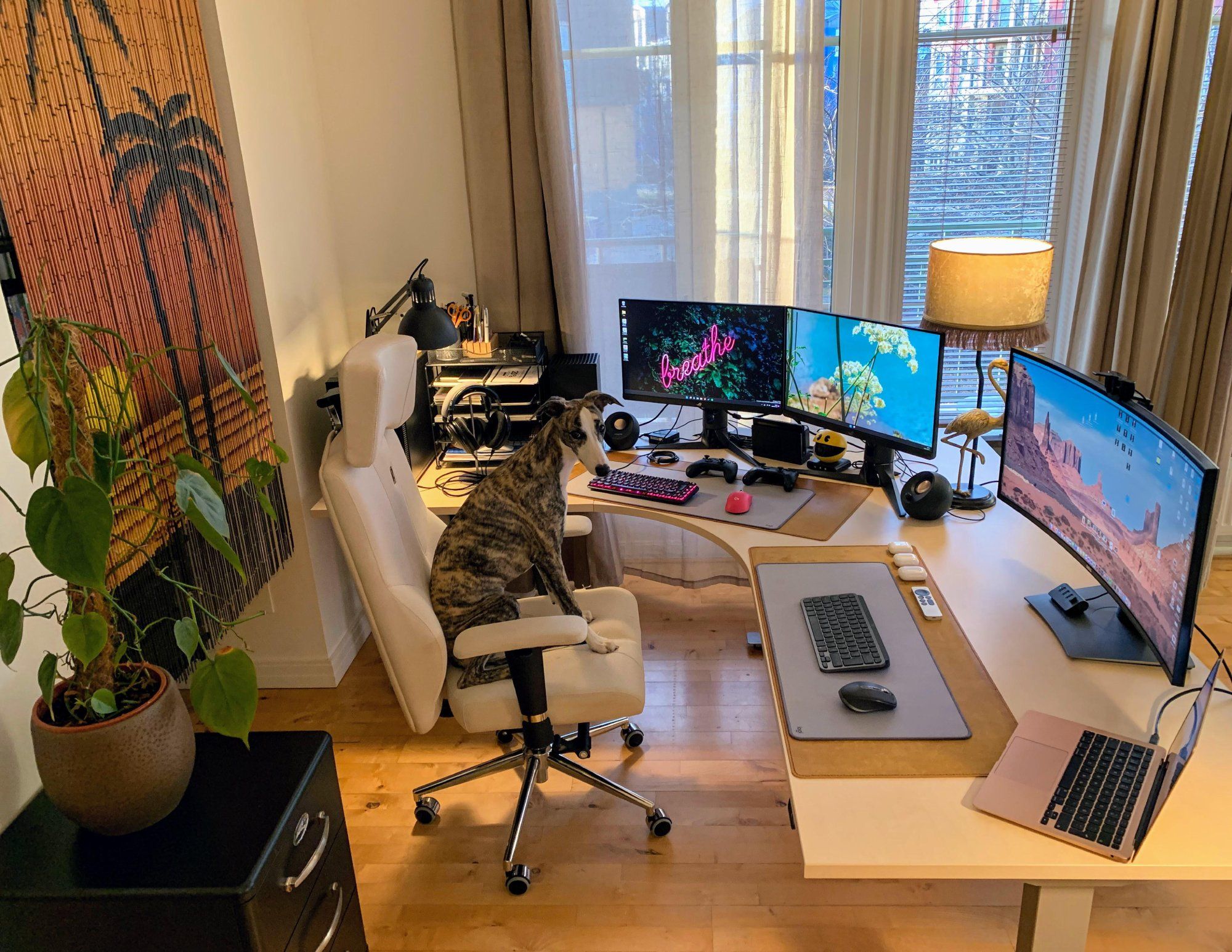 23+ Things You Need for a Perfect Work from Home Setup