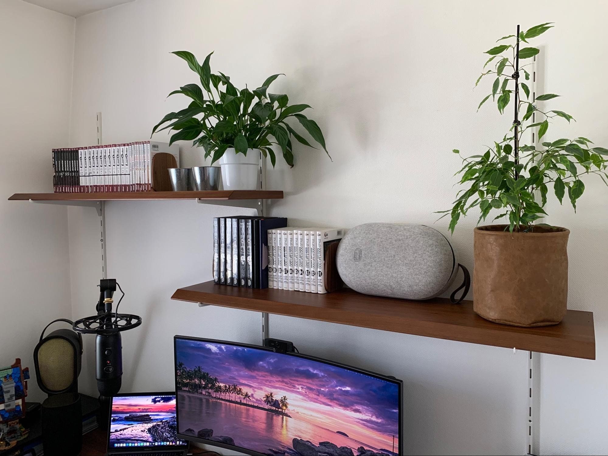 Walnut shelves from a French store called AM-PM and some house plants & books