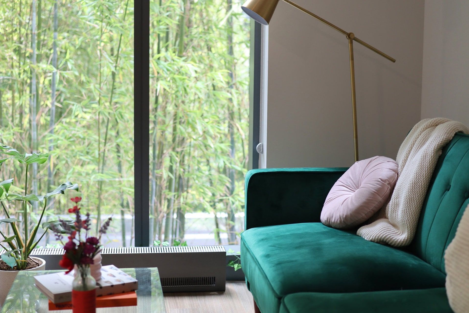 A green couch and a golden lamp in a tranquil studio apartment in San Francisco, CA