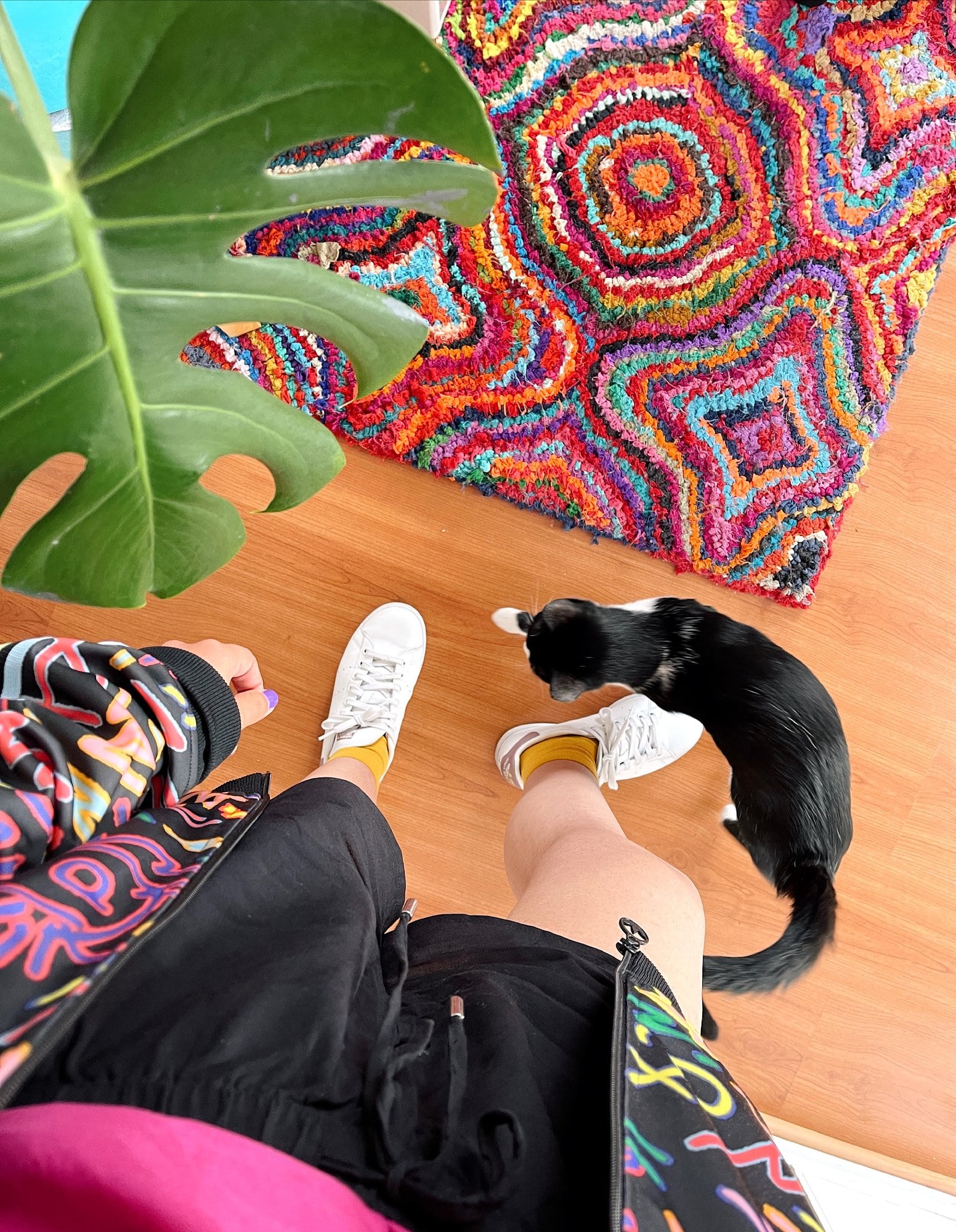 Nubiki’s cat and her monstera plant