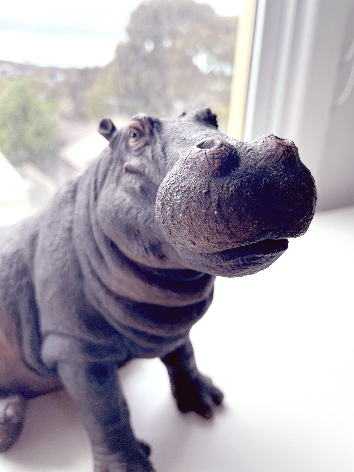 A hippo statue