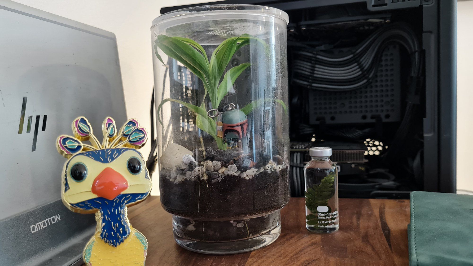 A desk terrarium with a Boba Fett figurine and the Up there POP! Kevin enamel pin