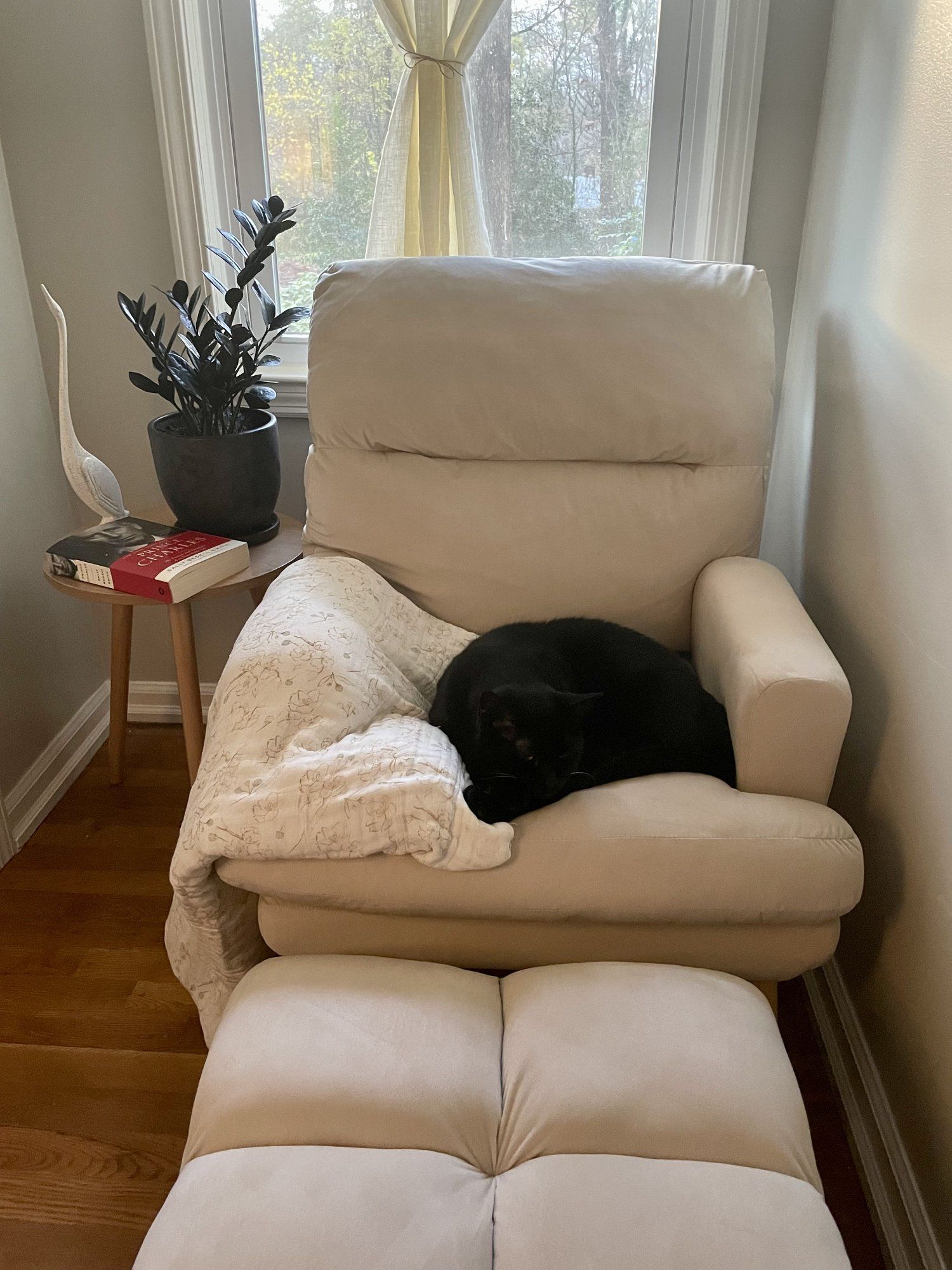 The CANMOV modern accent chair with a sleeping cat and an ottoman