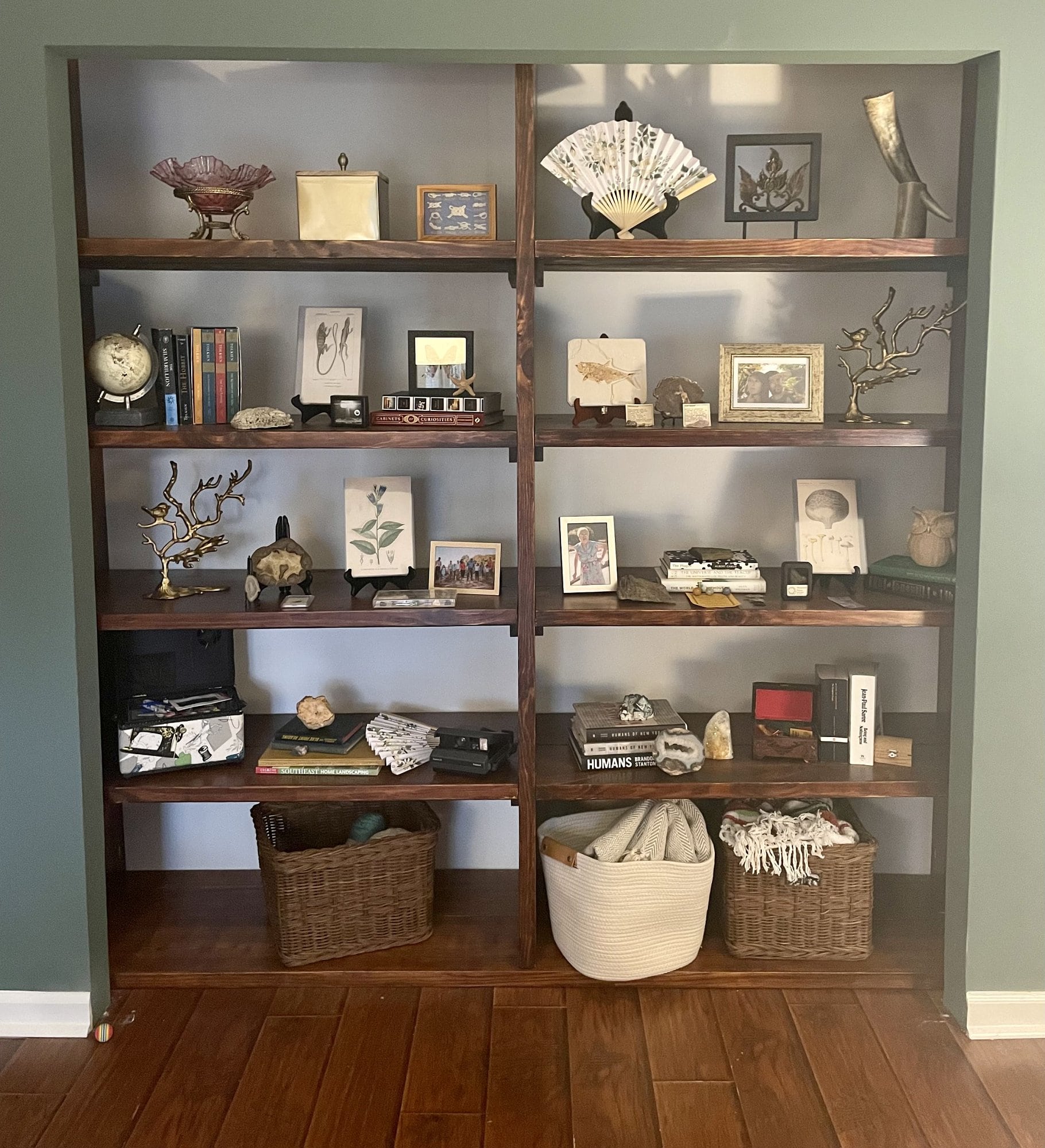 A built-in bookcase displaying a collection of some trinkets and natural history objects, such as rocks, geodes, bones, and plant diagrams