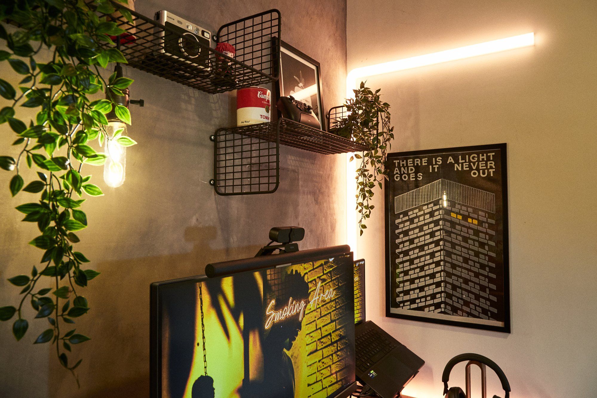 A dark and soothing home workspace with limewash-painted walls and an artificial plant