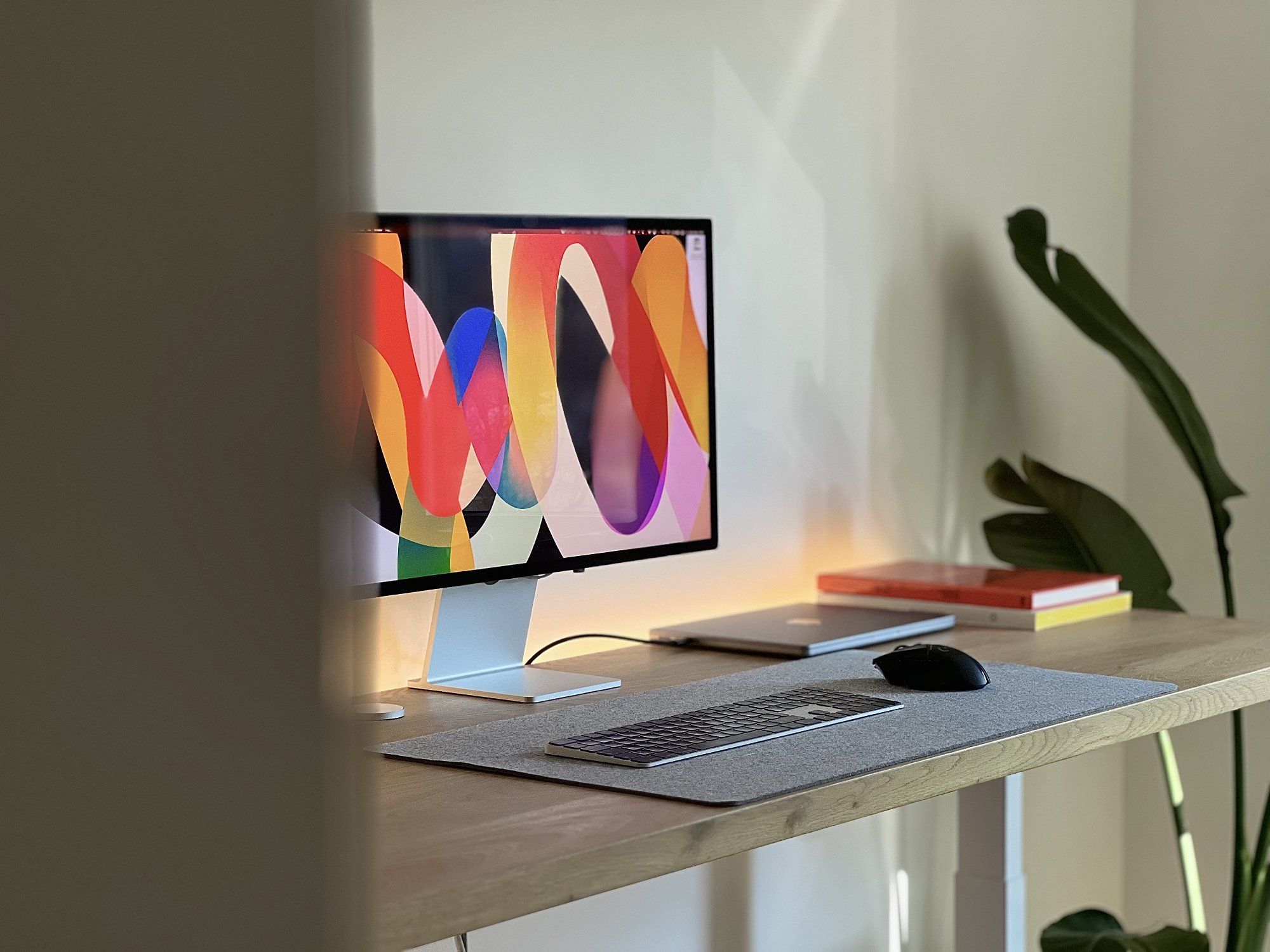 A corner view of a well-designed WFH desk setup with a houseplant