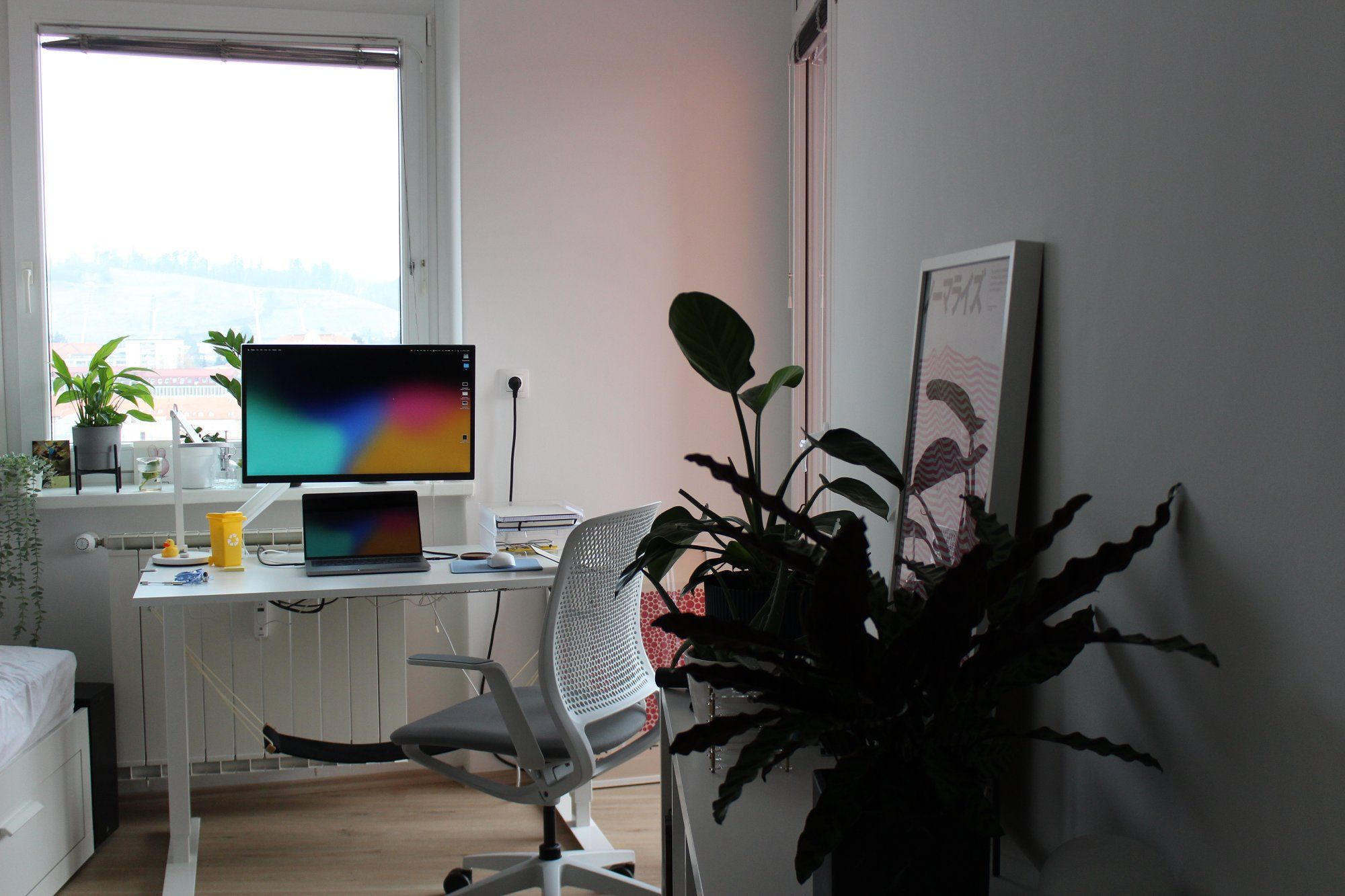 A bedroom home office with a white IKEA standing desk and lots of plants