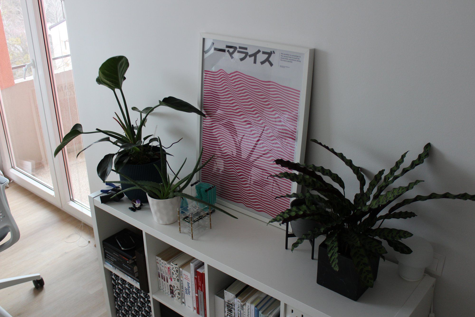 A bookcase with many books on the shelves, three pots with plants, and a poster on top