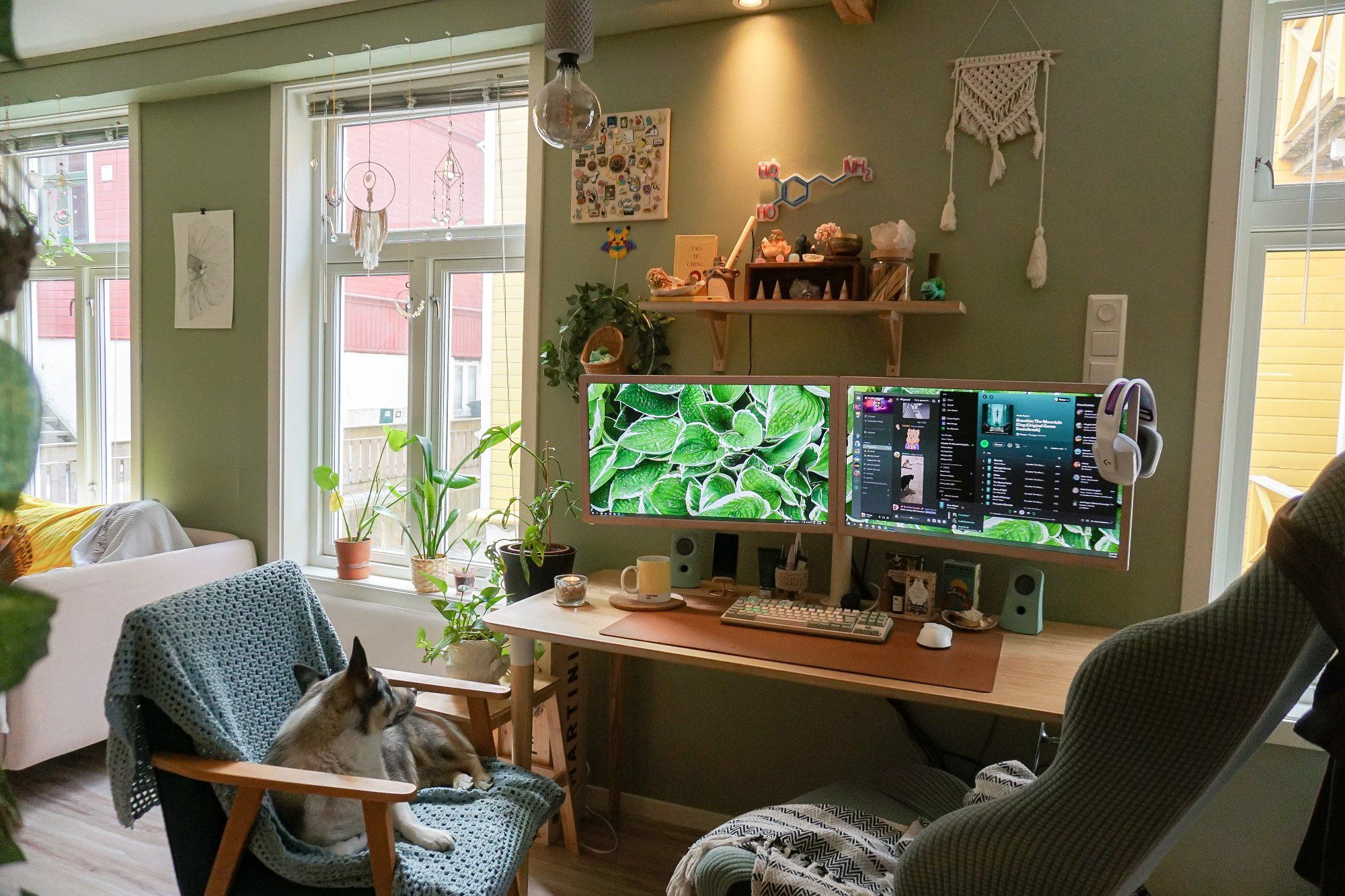 A dual-monitor desk setup with plants
