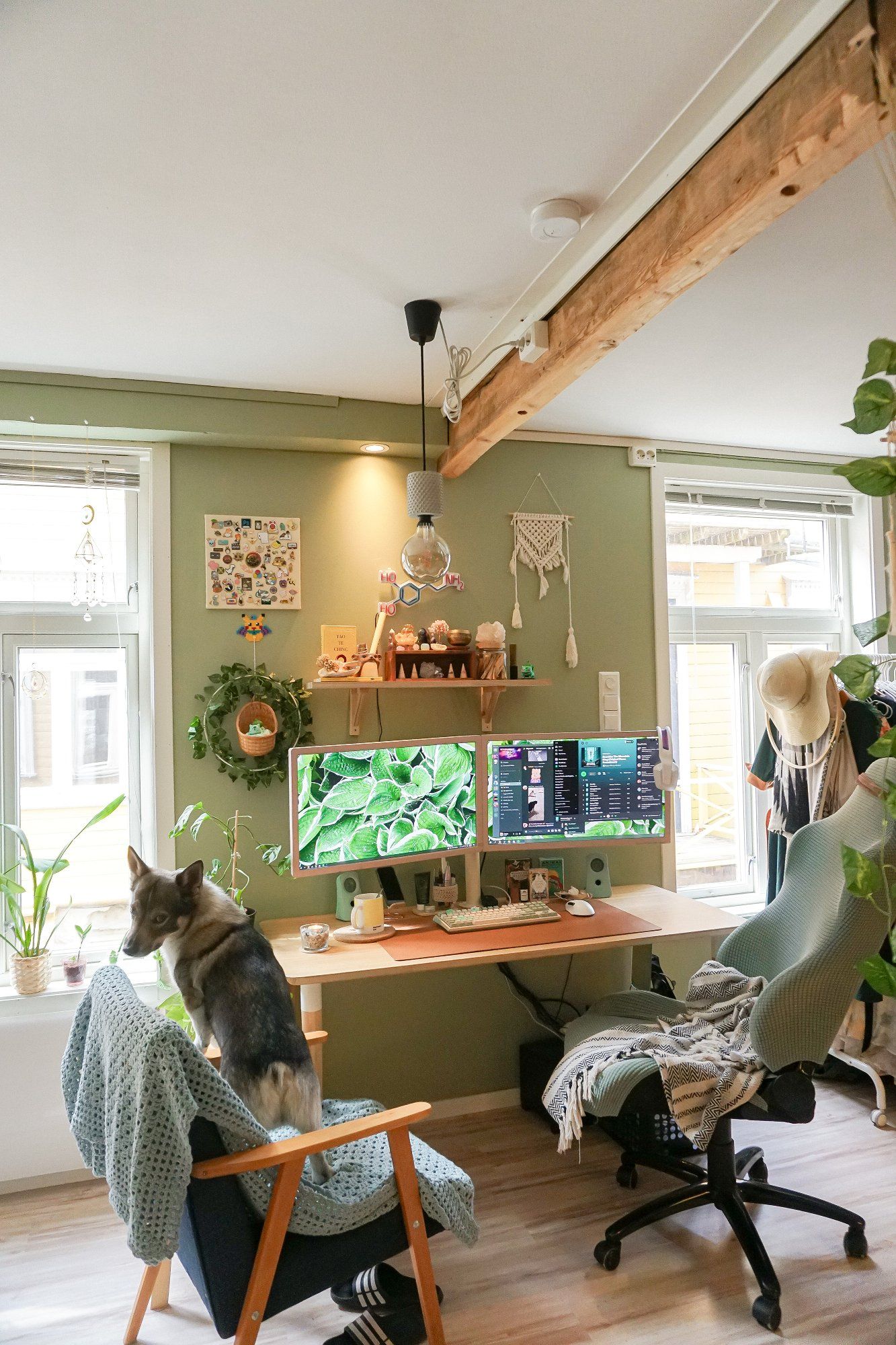 A minimalist and serene home office with two monitors, two chairs (one of which is for a doggy), and lots of indoor plants