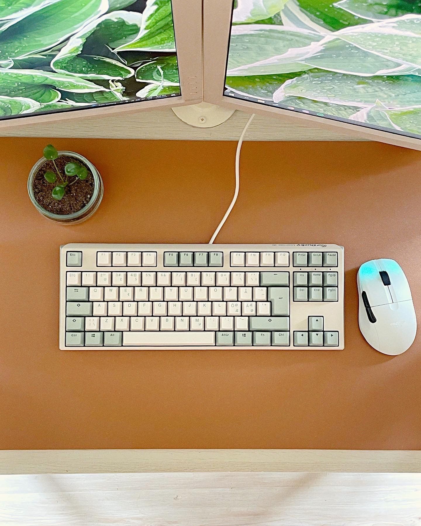 A Ducky One 3 mechanical keyboard and a ROCCAT Kone Pro Air ergonomic wireless gaming mouse