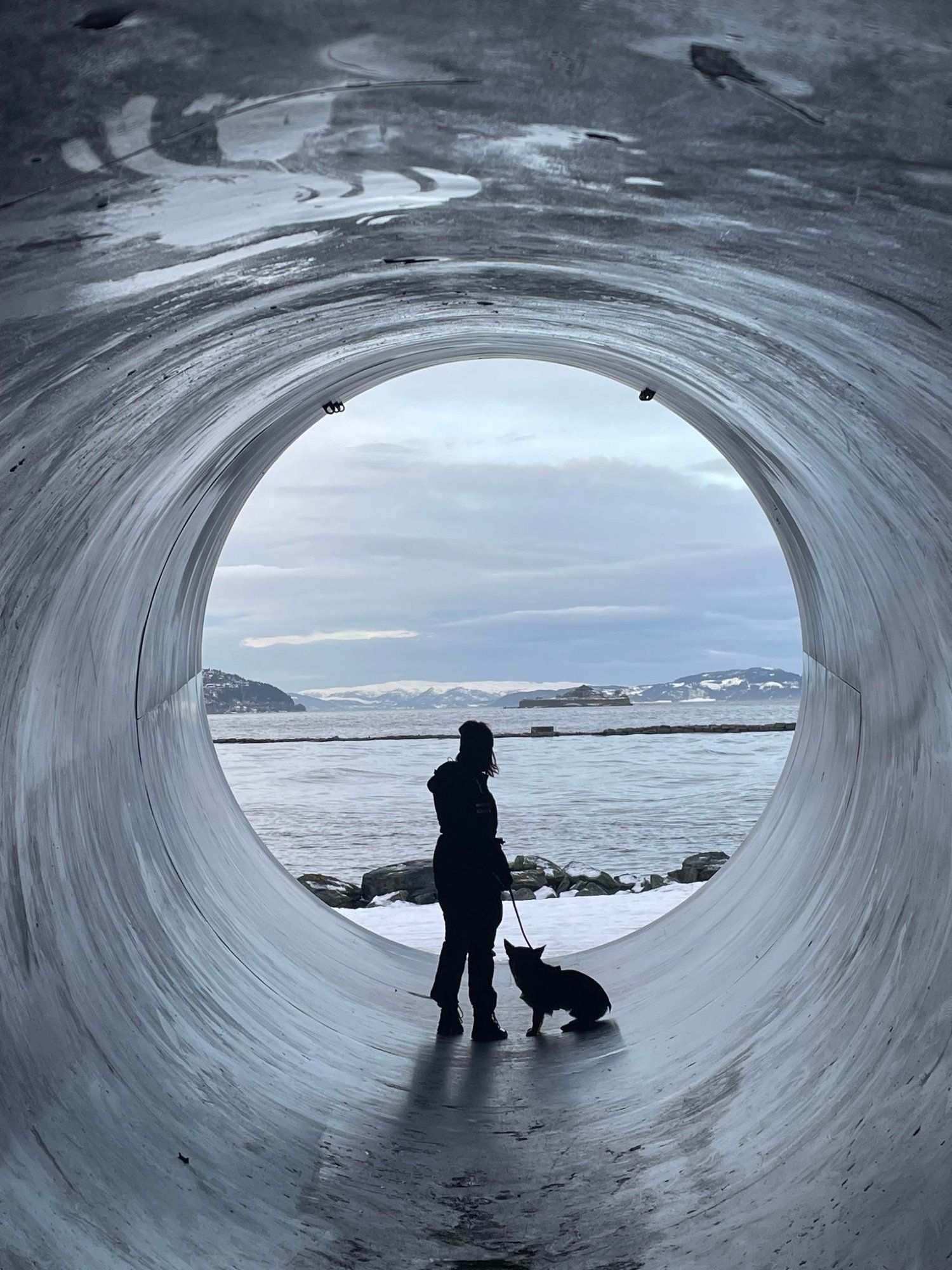Two silhouettes of a girl and a dog standing inside a huge concrete pipe overlooking the sea