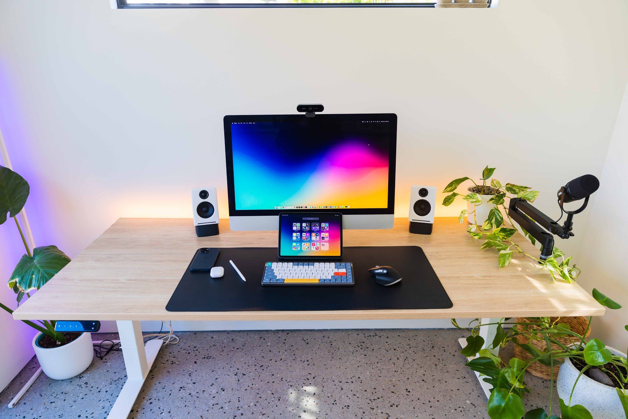 A small and minimal standing desk setup with lots of plants