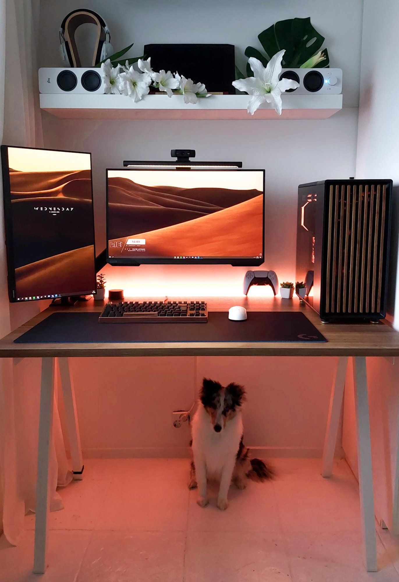 A minimalist desk with a single monitor, ambient backlighting, floating shelf with plants and headphones, accompanied by a friendly dog
