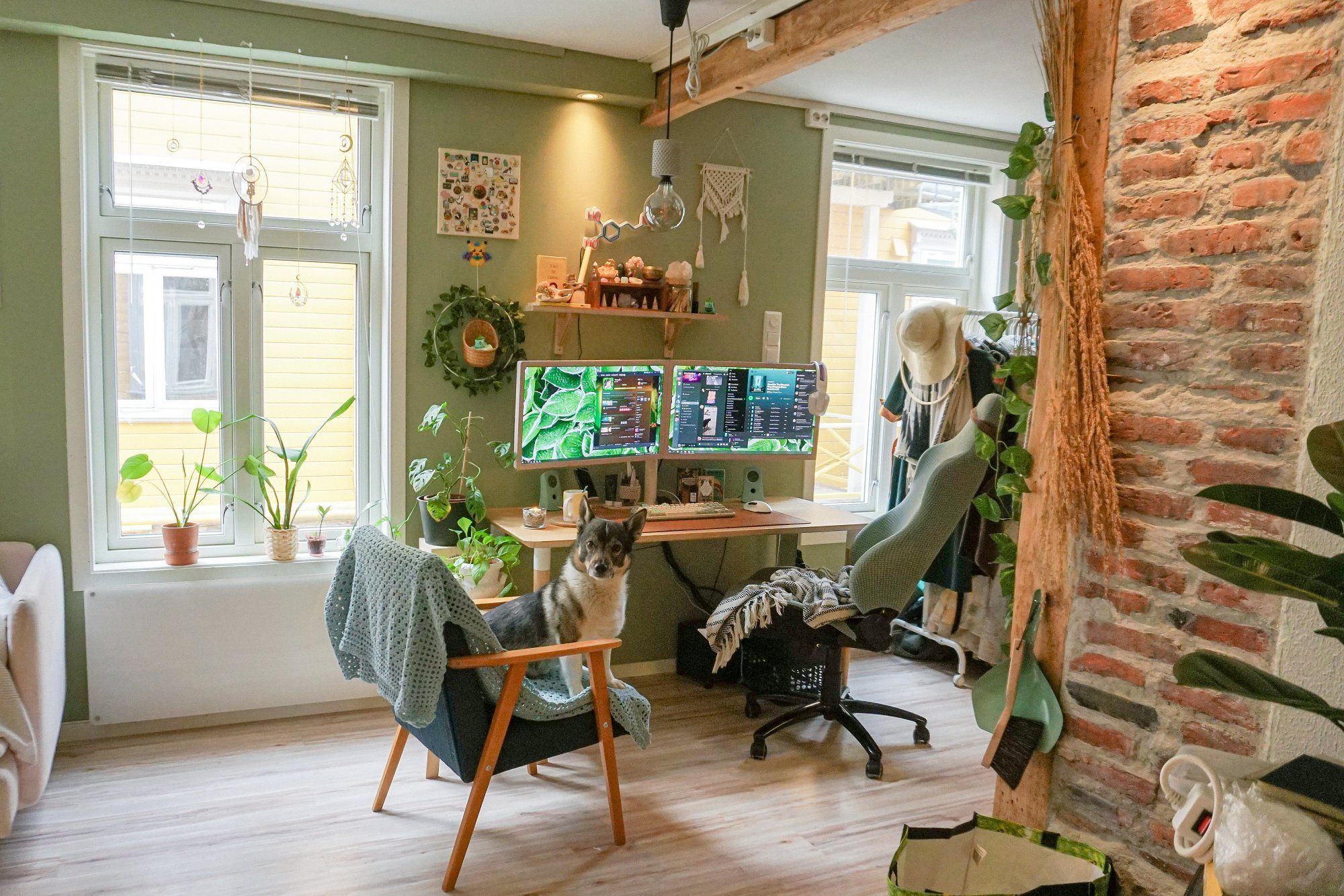 A cosy home office setup with a dual monitor computer desk surrounded by indoor plants, a brick column on the right, and a window with blinds on the left. A dog is sitting on a chair in the center, facing the camera. Decorative items and a dream catcher hang by the window, adding a personal touch to the space