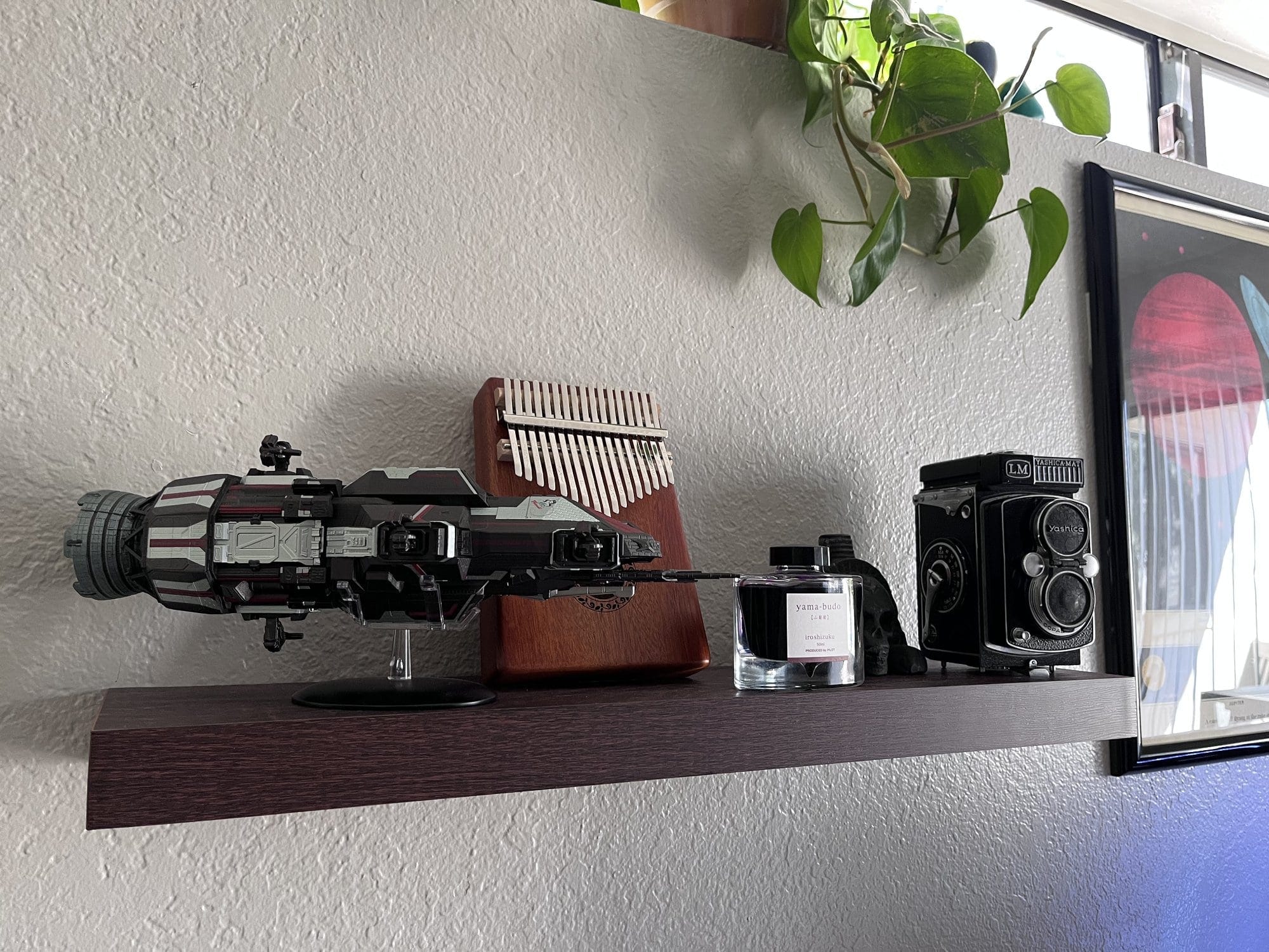 A shelf displaying a model spacecraft, a wooden kalimba, a bottle of ink, and a vintage twin-lens reflex camera, with a potted plant hanging overhead