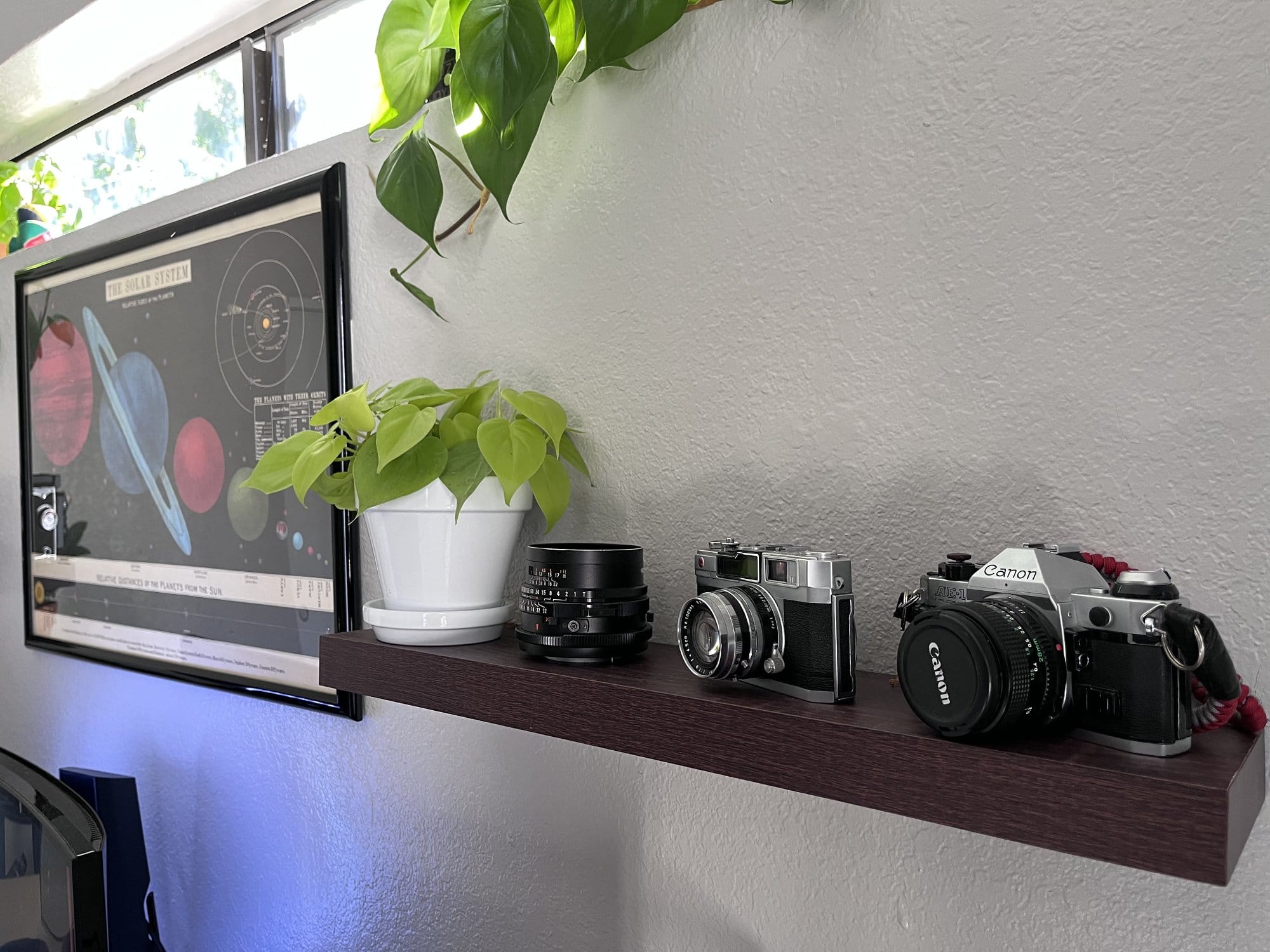 A dark wooden shelf displaying a potted plant and a collection of vintage cameras against a wall with a framed solar system print