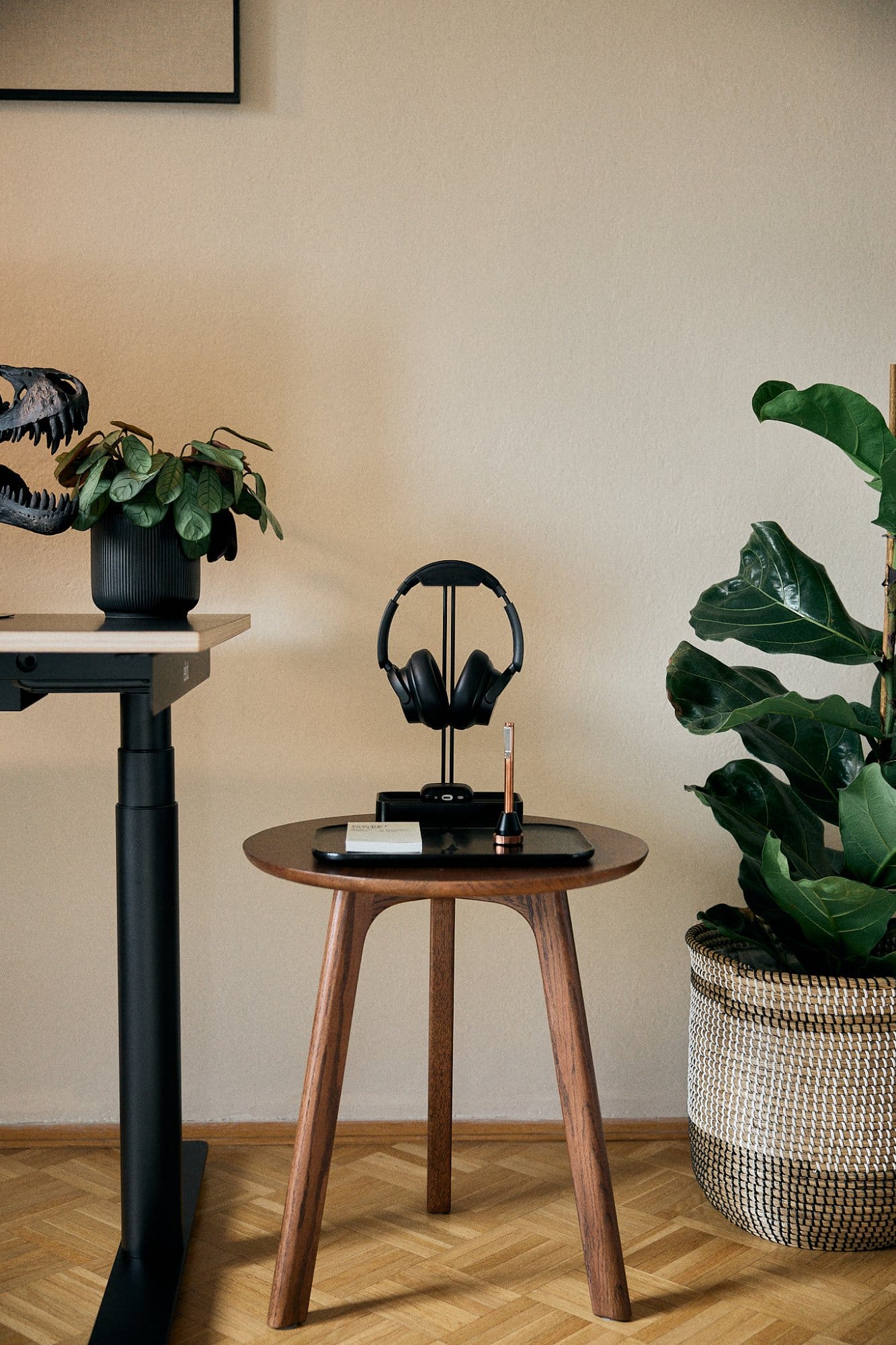 A minimalist corner with a small wooden table holding headphones, a smartphone charging on a dock, and a pen, beside a standing desk with a dinosaur skull model and a large leafy potted plant in a woven basket