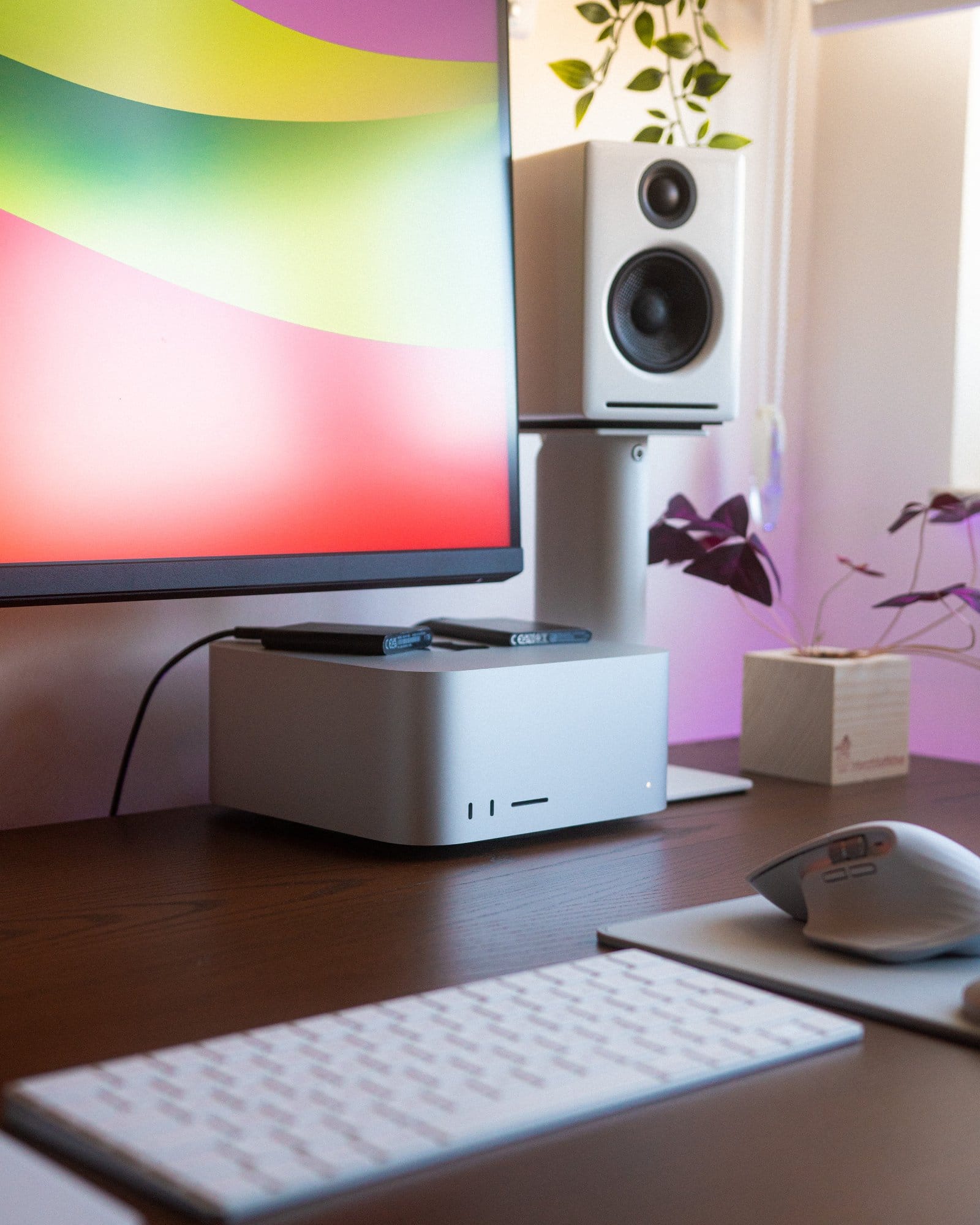 A close-up of a workspace with a Mac Studio M1 Max, keyboard, mouse, speaker, and part of a monitor, complemented by soft backlighting and houseplants