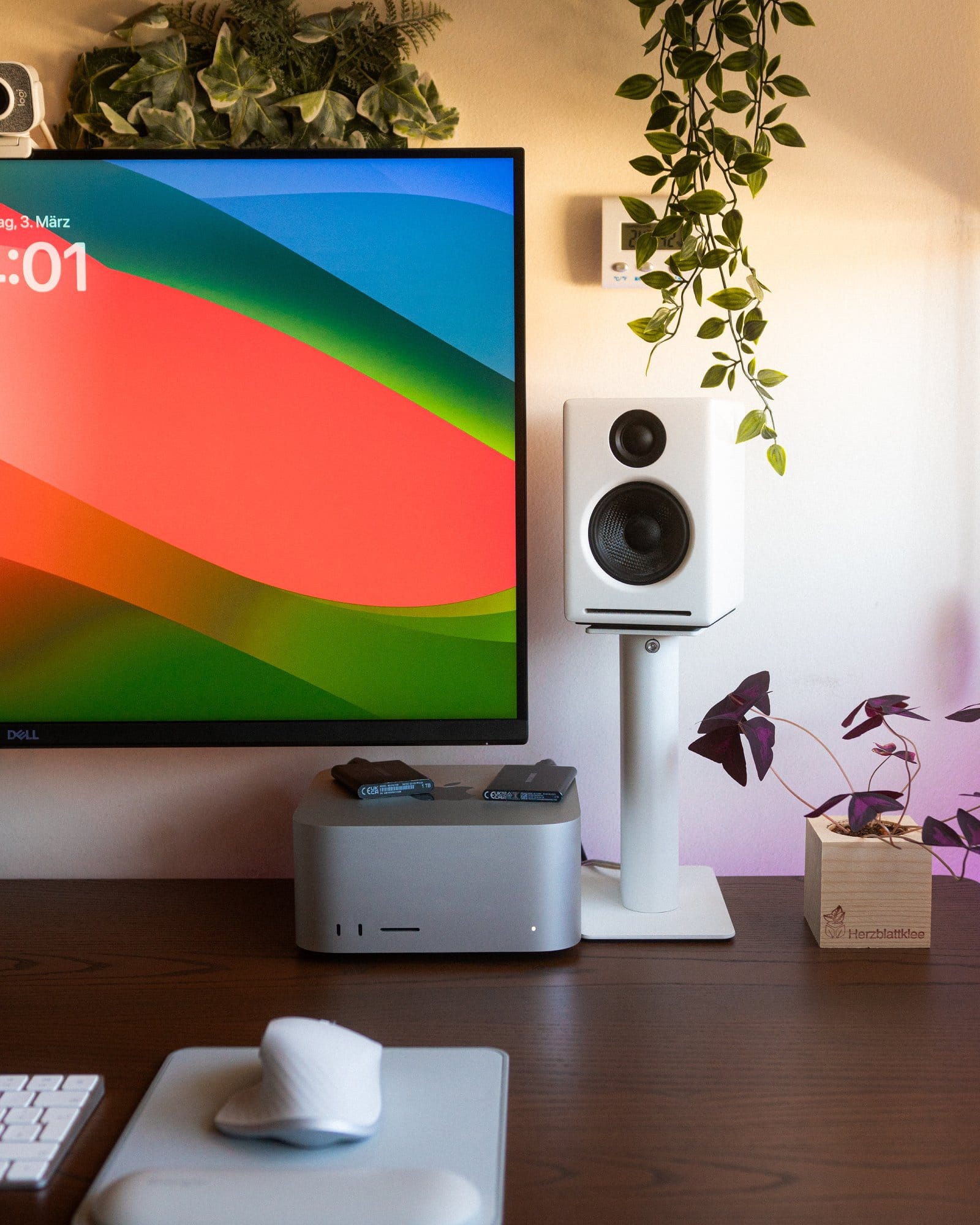 A close-up of a desk with a colourful computer monitor and decorative plants