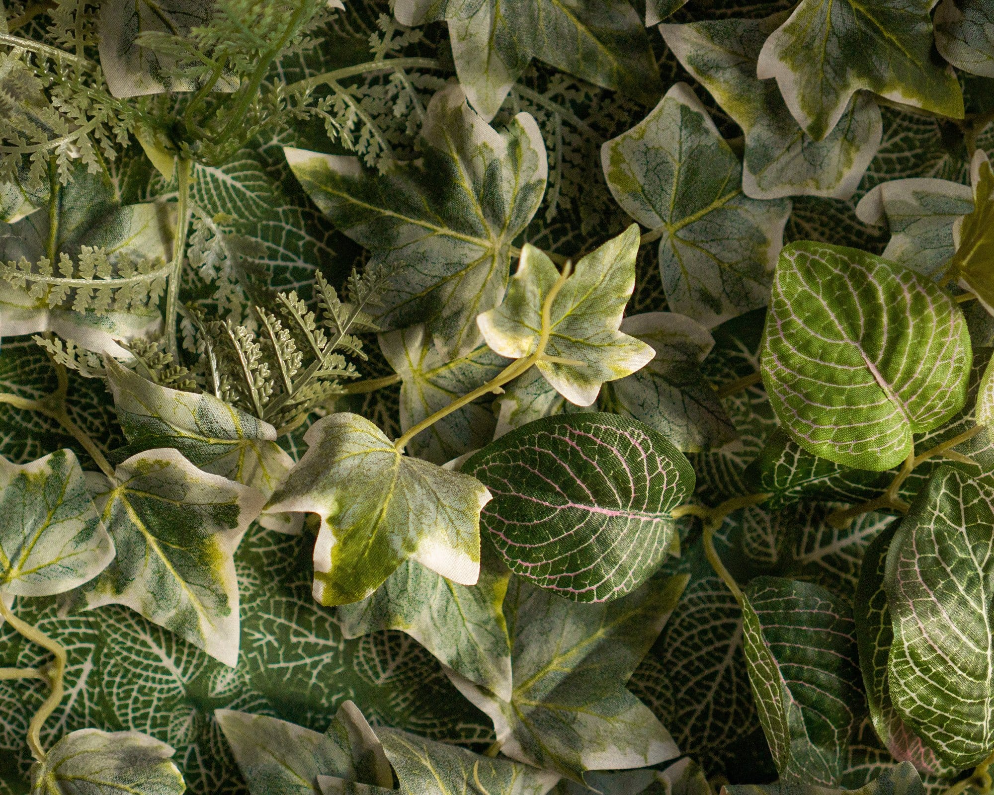 A close-up of an assortment of green leaves with various patterns and textures