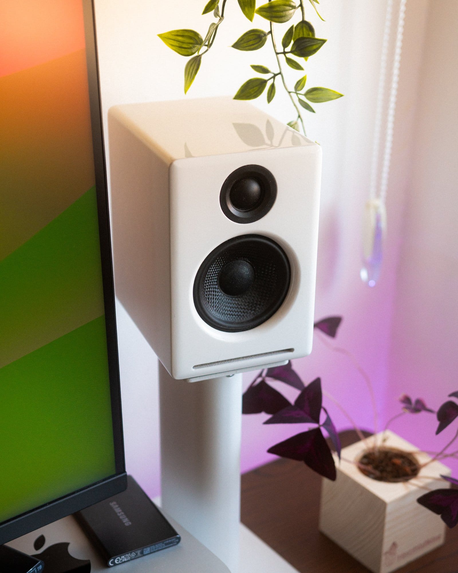 An Audioengine speaker perched next to a monitor, with its clean white design complementing the vibrant houseplants and ambient coloured lighting in the space