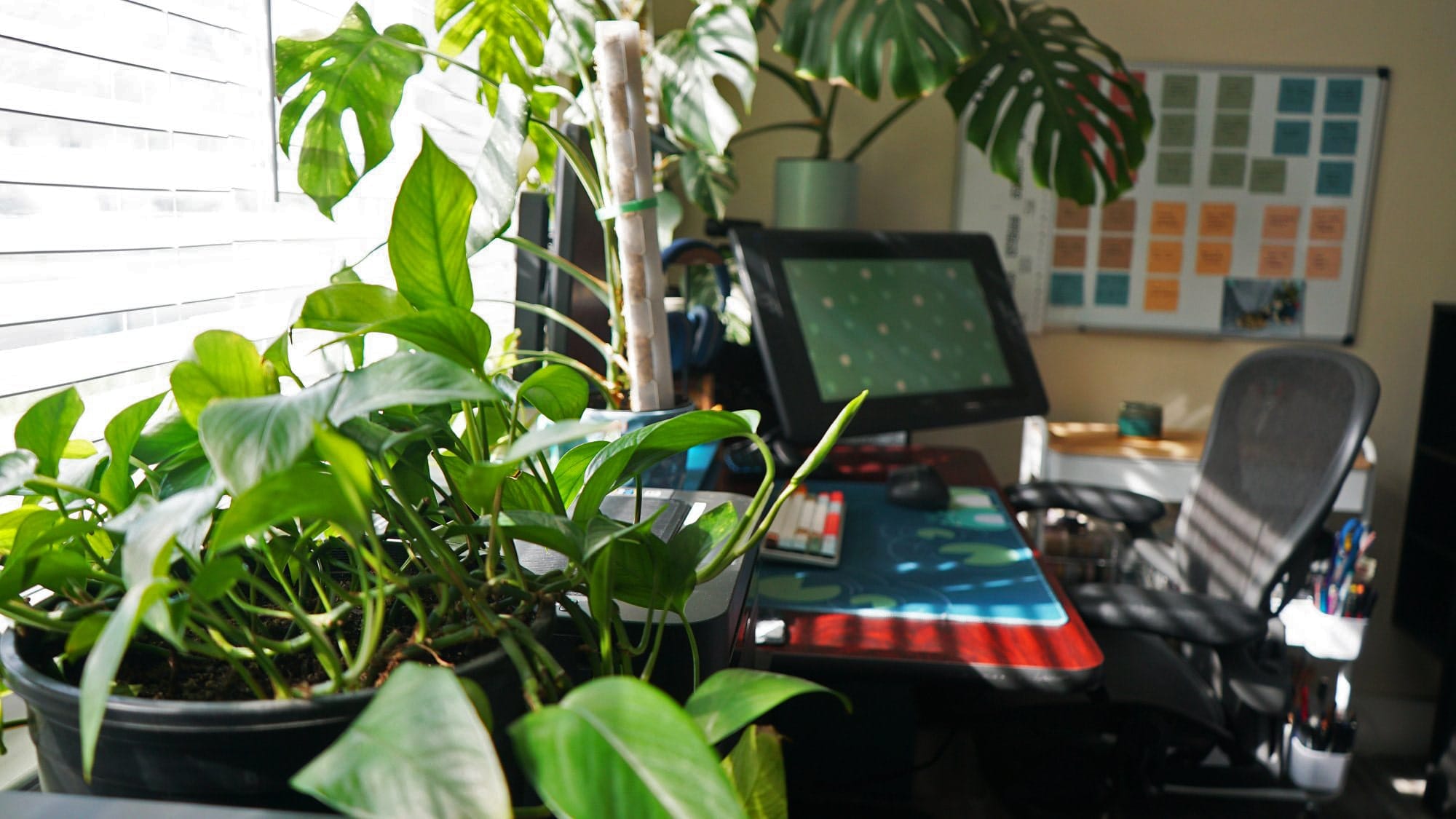 A home office bathed in sunlight, showcasing a large desktop monitor, graphic tablet, ergonomic chair, and lush green plants