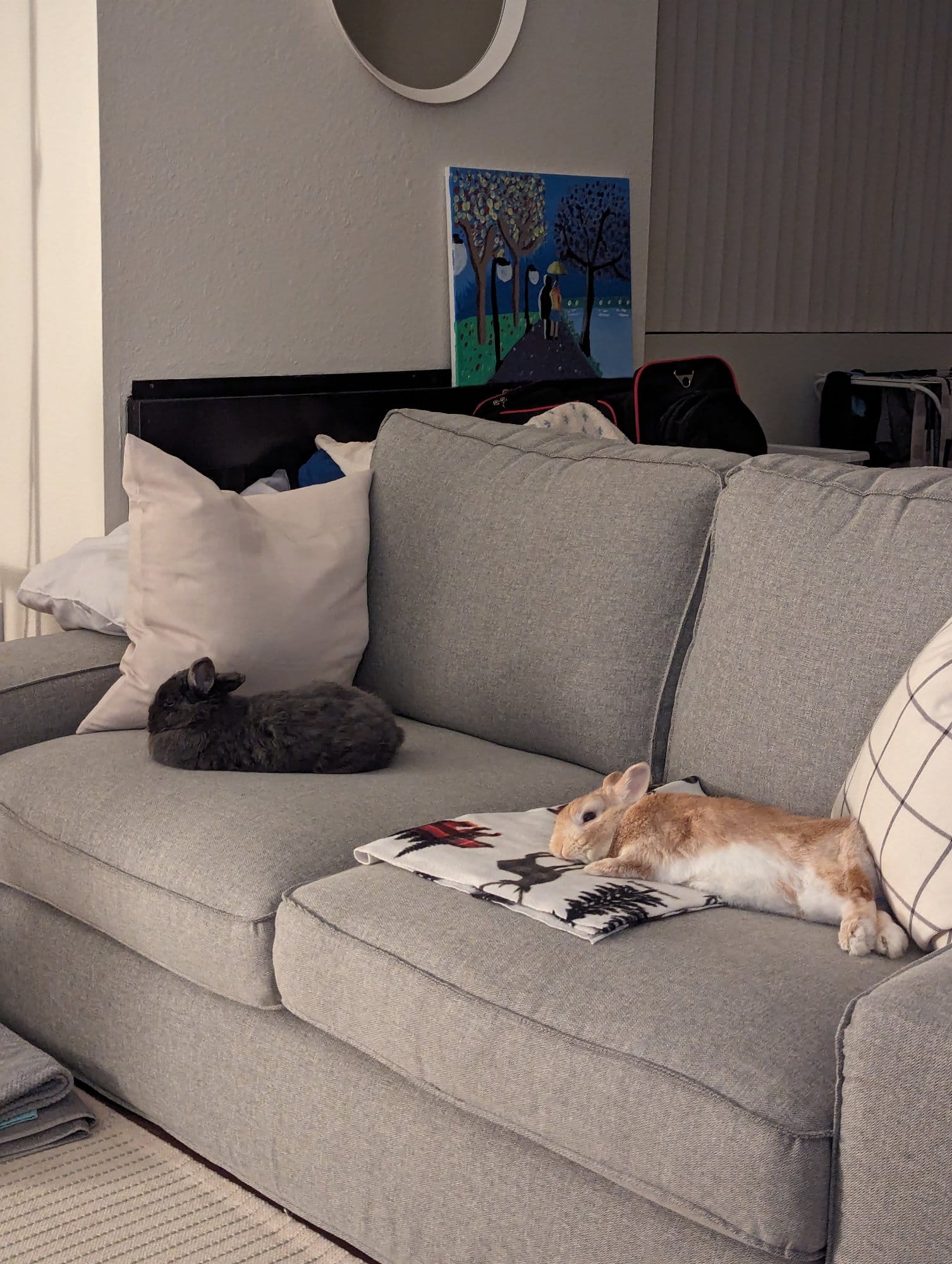 A cosy living room scene with two rabbits, one black and one orange & white, resting on a grey sofa, with a colourful painting on the wall above