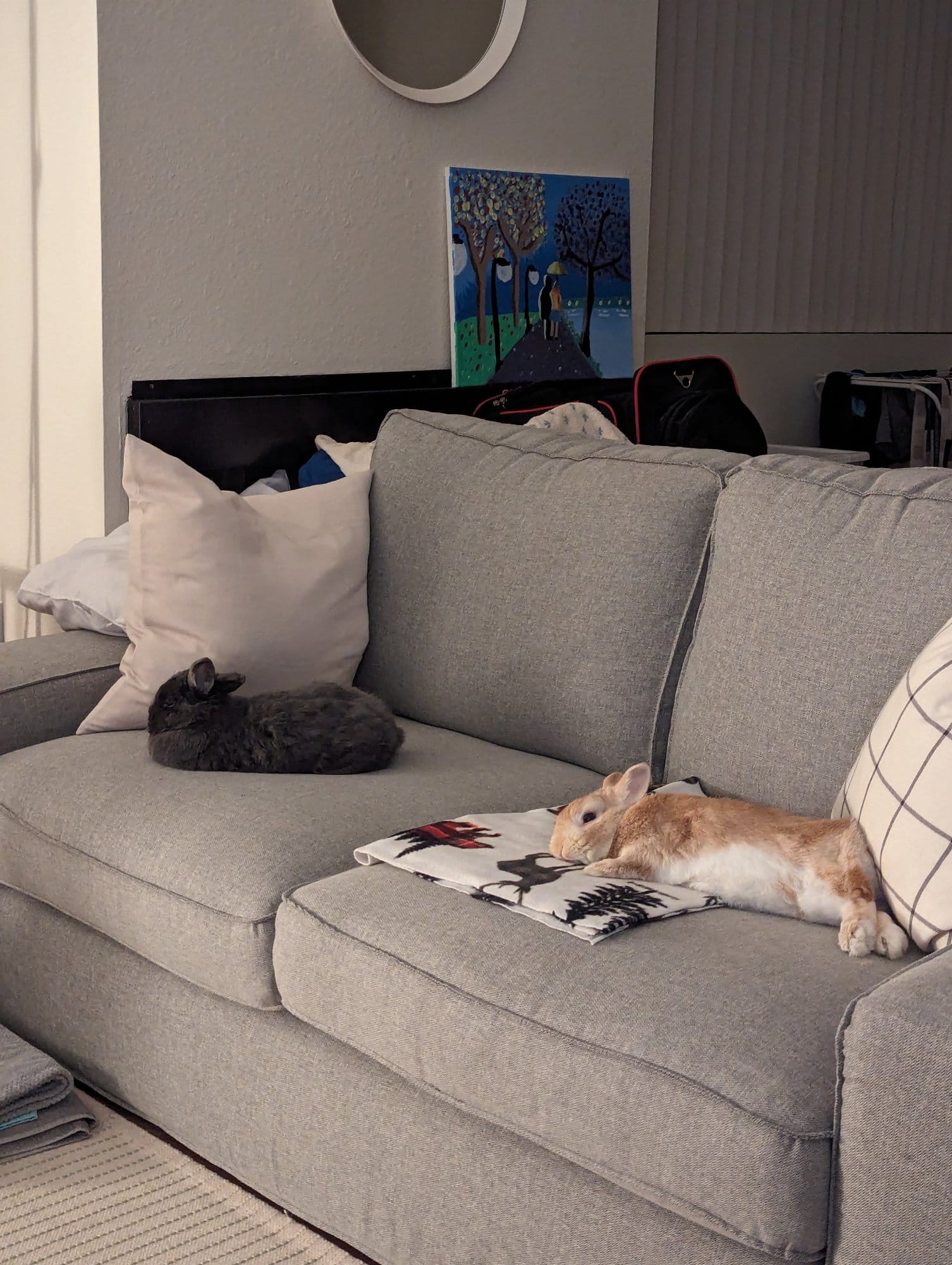A cosy living room scene with two rabbits, one black and one orange & white, resting on a grey sofa, with a colourful painting on the wall above