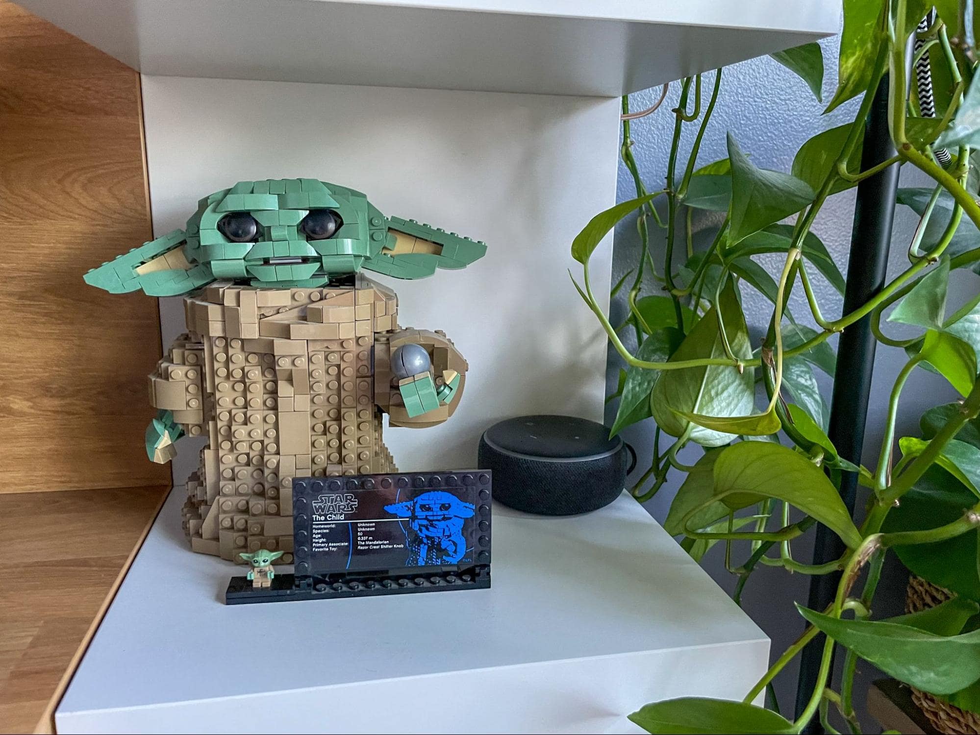 A model of Yoda, a popular green science fiction character made from building blocks on a shelf, accompanied by a small replica and a smart speaker, beside a hanging indoor plant