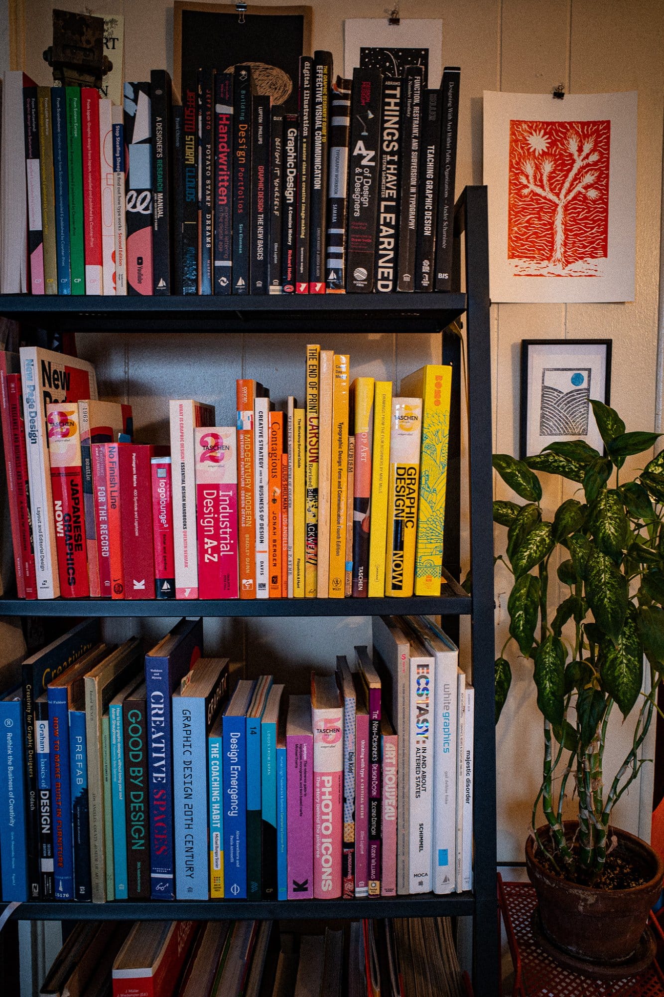 A bookshelf packed with colourful books on design and creativity, next to a potted plant and a red tree print on the wall