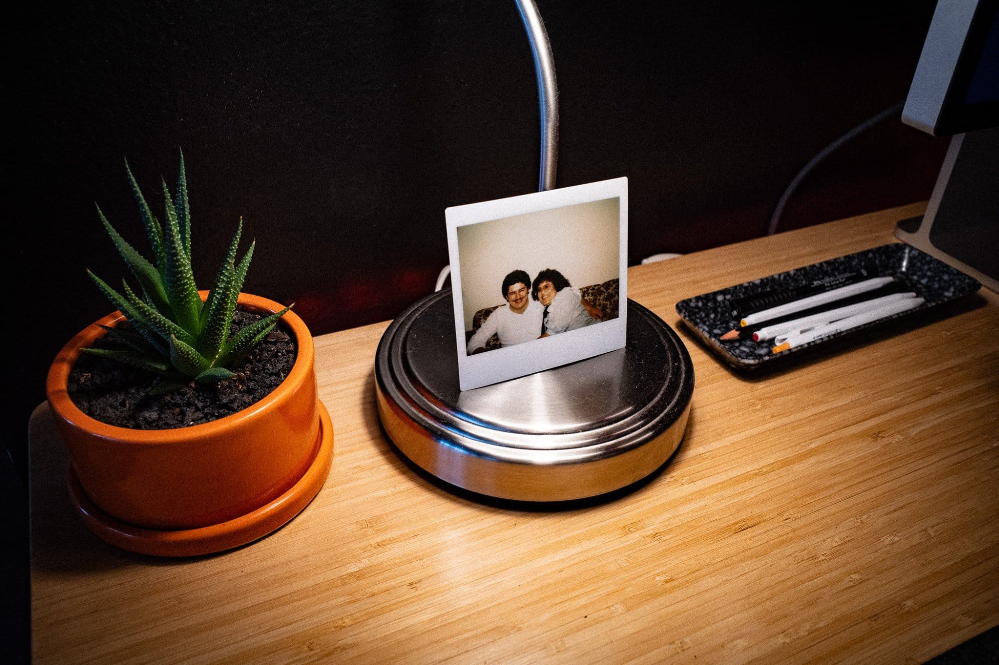 A potted aloe plant, a Polaroid photo held by a metallic stand, and a tray with pens on a wooden desk
