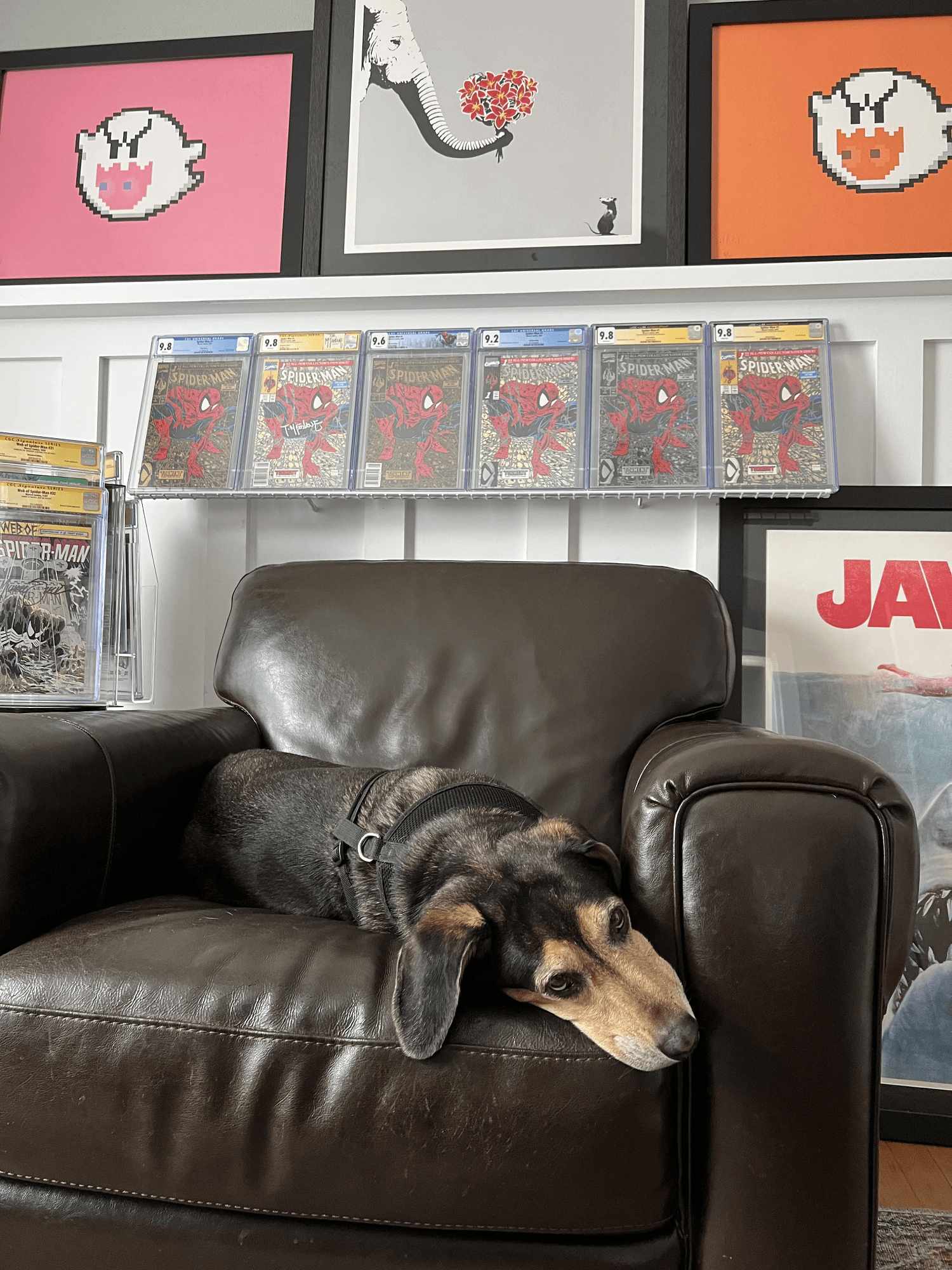 A dog resting on a leather chair with Spider-Man comics and pixel art on the wall